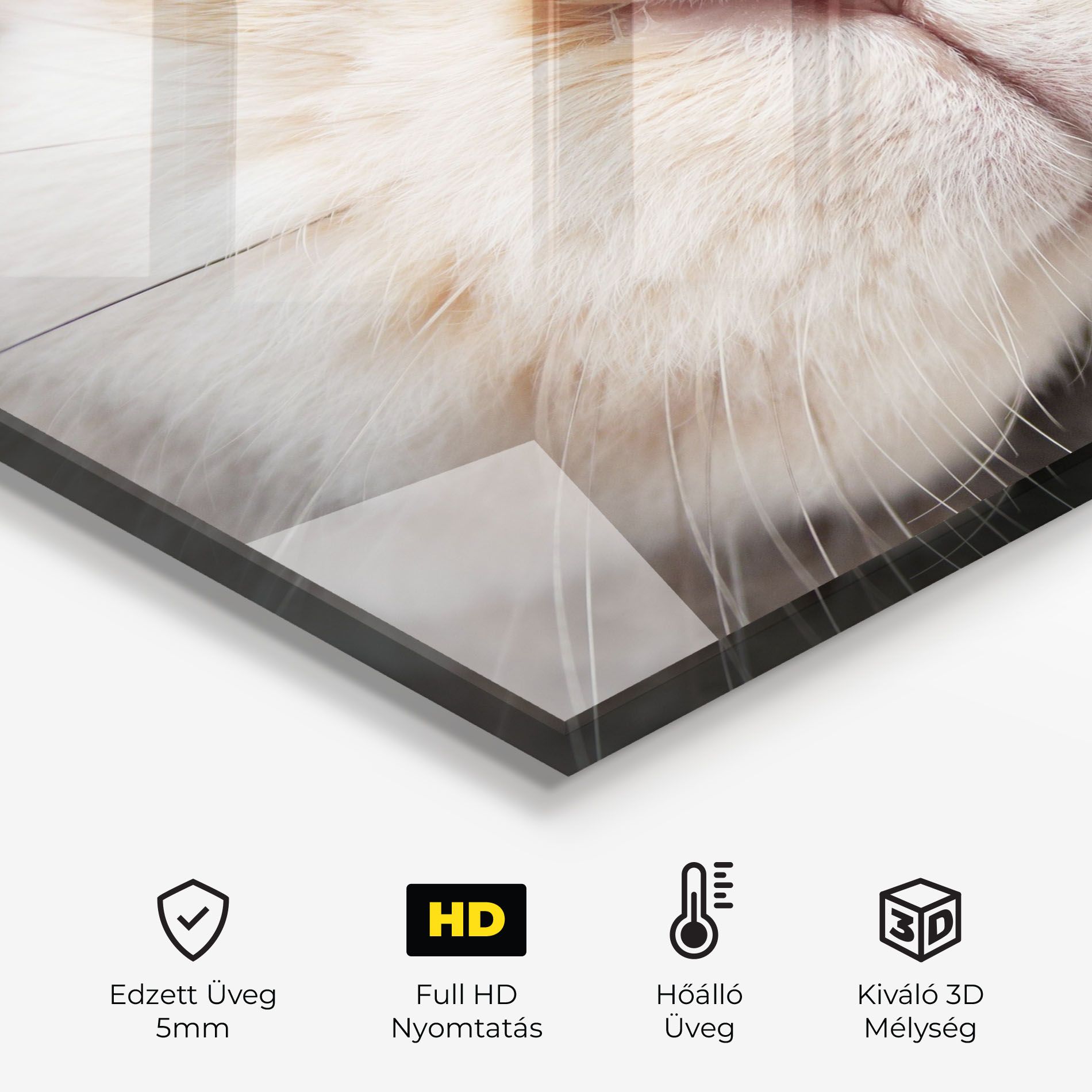 Close Up Bunny mockup 2