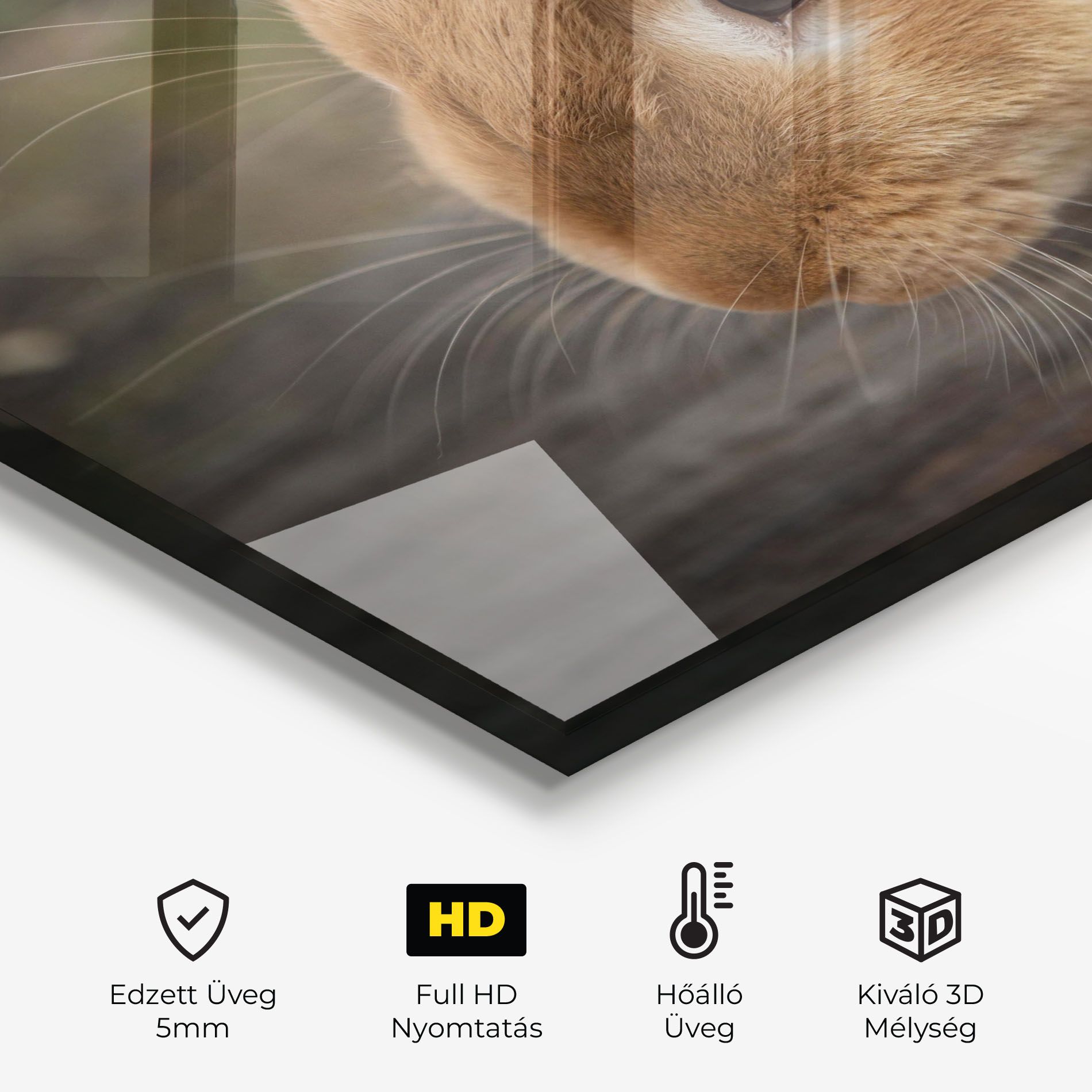 Orange Bunny Looking mockup 2