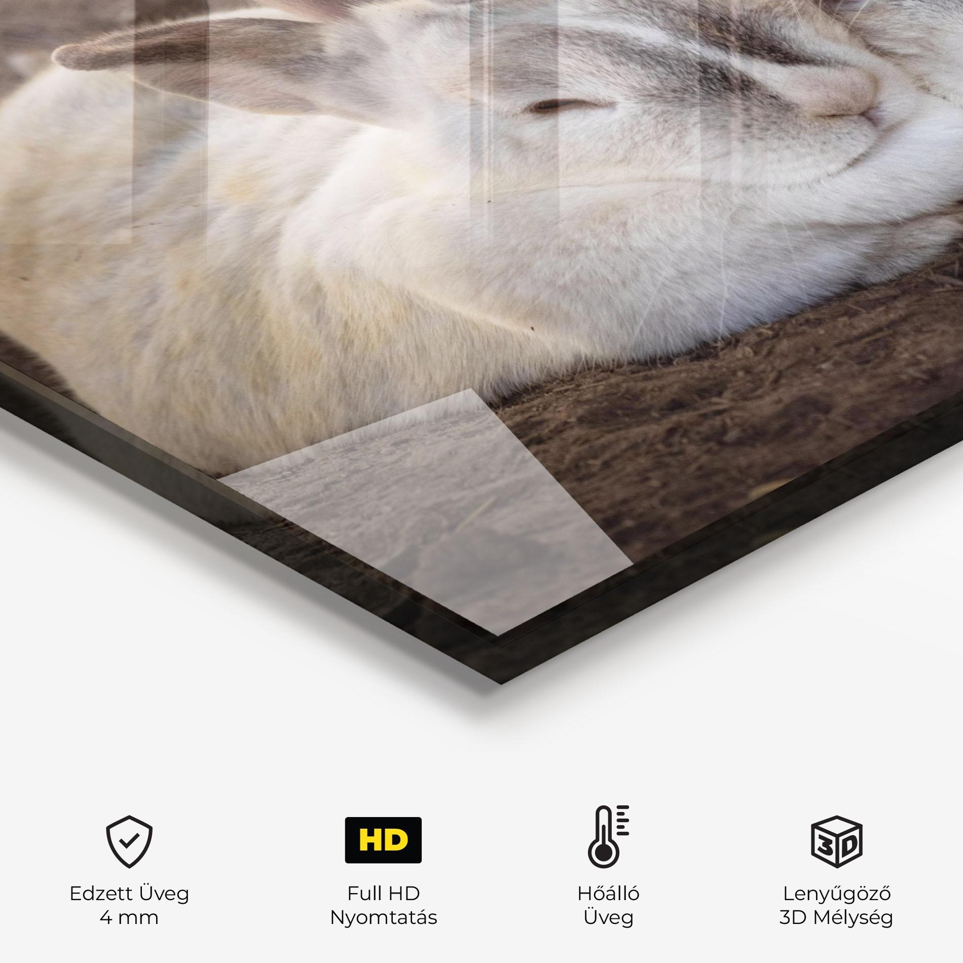 Konyhai üveg hátfal Light Grey Bunny Sleeping mockup 2