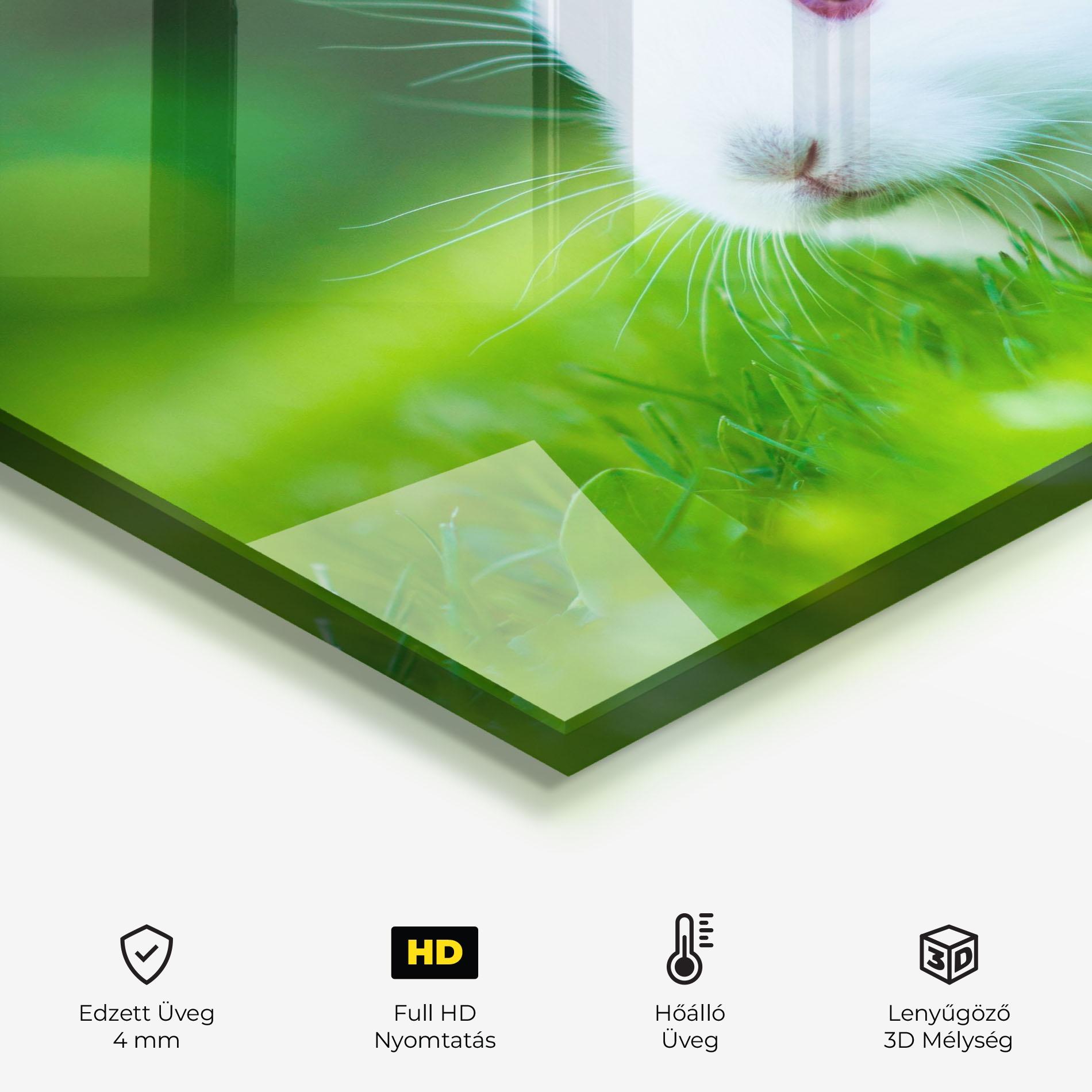 Konyhai üveg hátfal Red Eye Bunny mockup 2