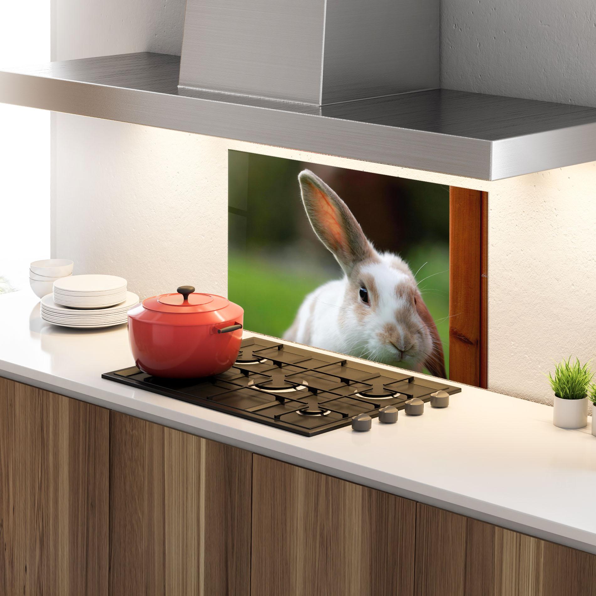 Konyhai üveg hátfal Up Ear Bunny mockup 4