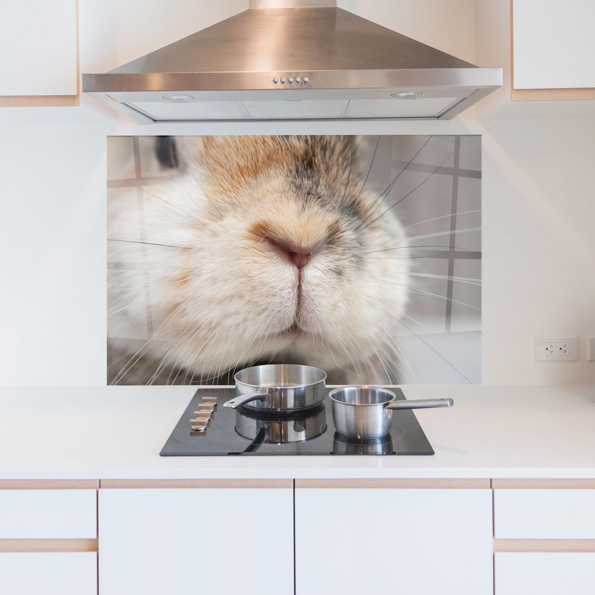 Konyhai üveg hátfal Close Up Bunny mockup 5