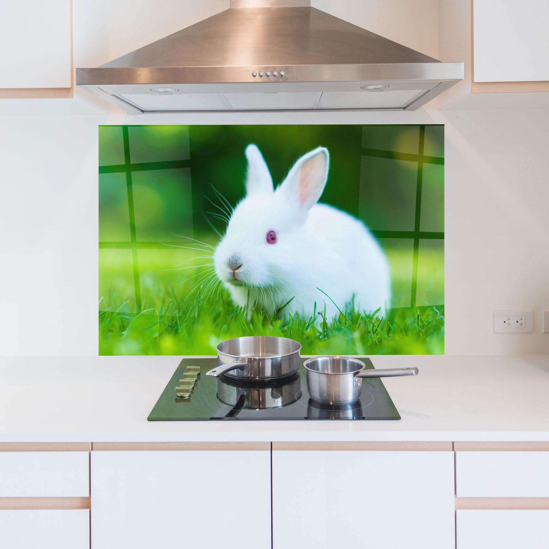 Konyhai üveg hátfal Red Eye Bunny mockup 5