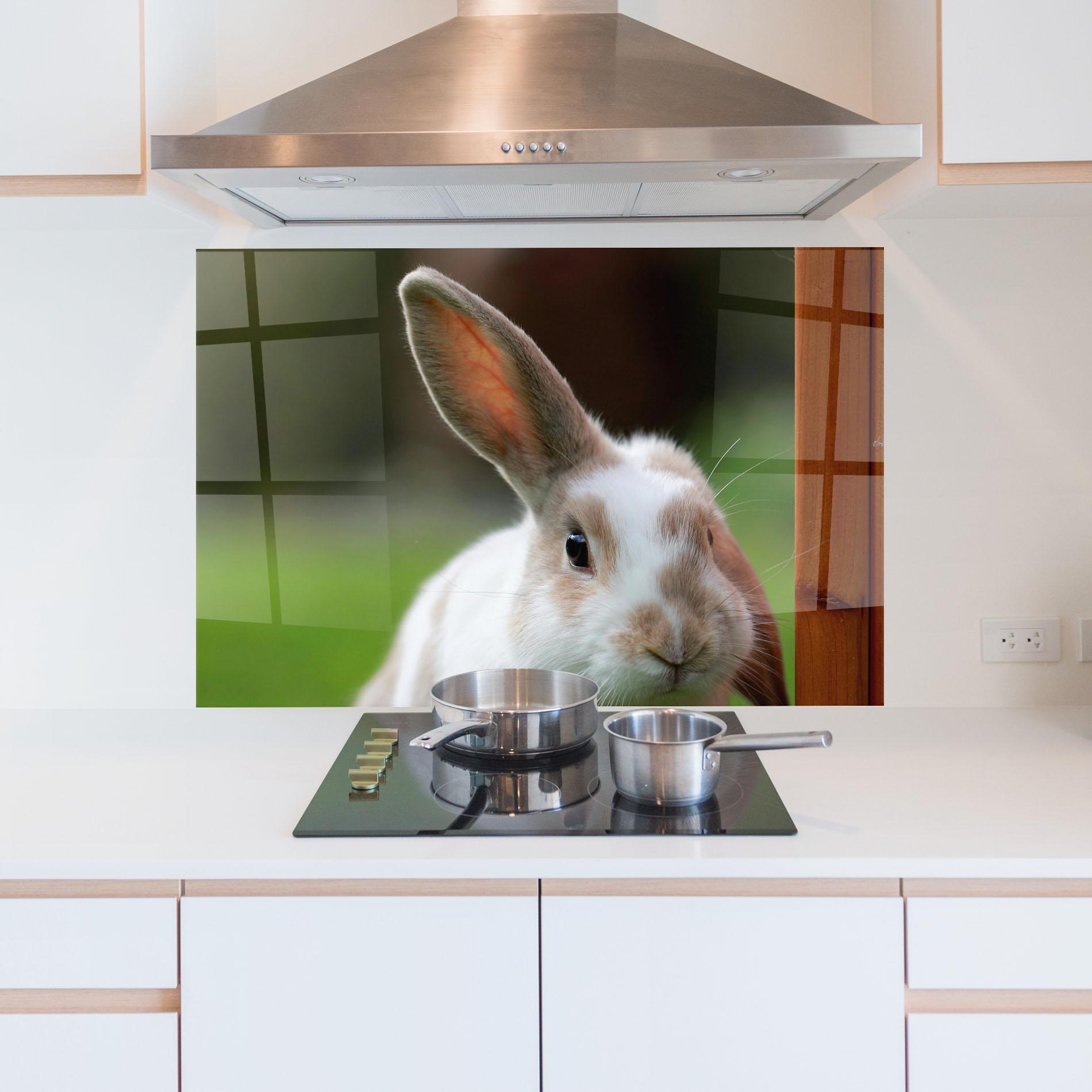 Konyhai üveg hátfal Up Ear Bunny mockup 5