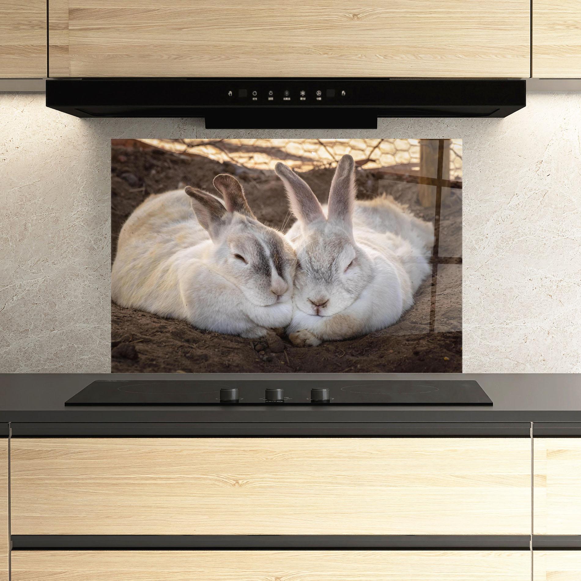 Konyhai üveg hátfal Light Grey Bunny Sleeping mockup 3