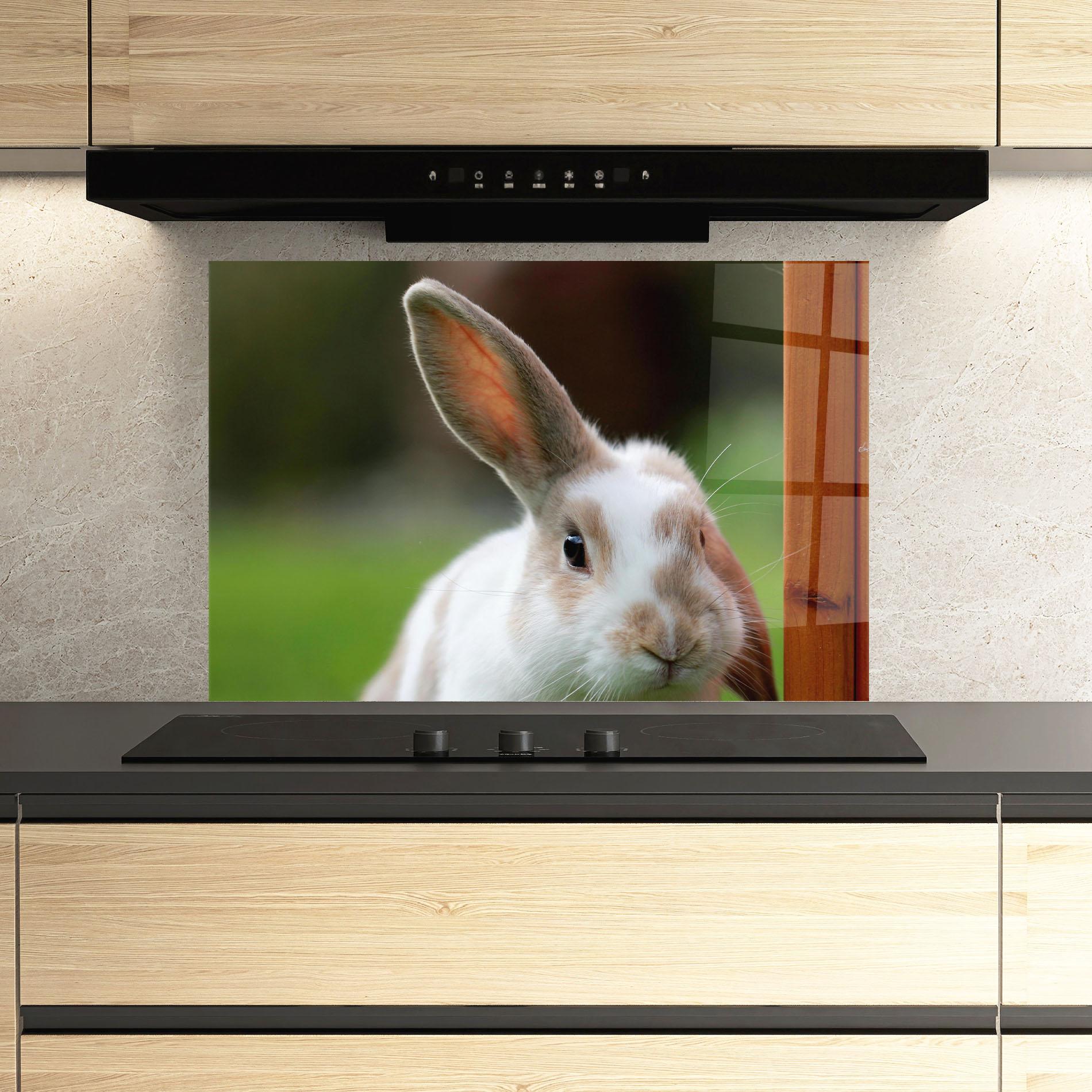 Konyhai üveg hátfal Up Ear Bunny mockup 3