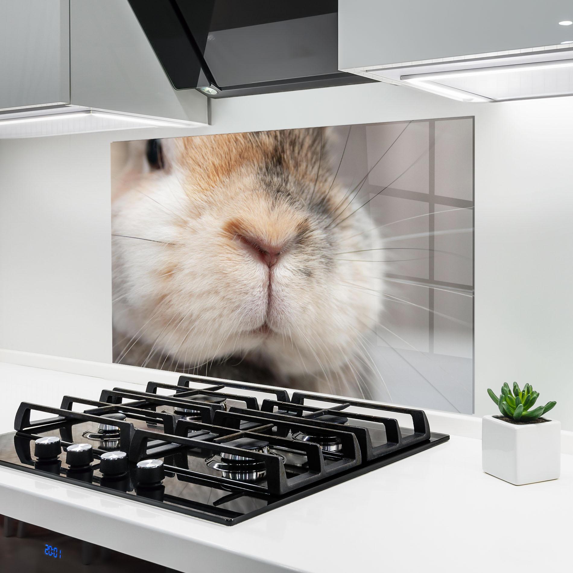 Konyhai üveg hátfal Close Up Bunny mockup 6