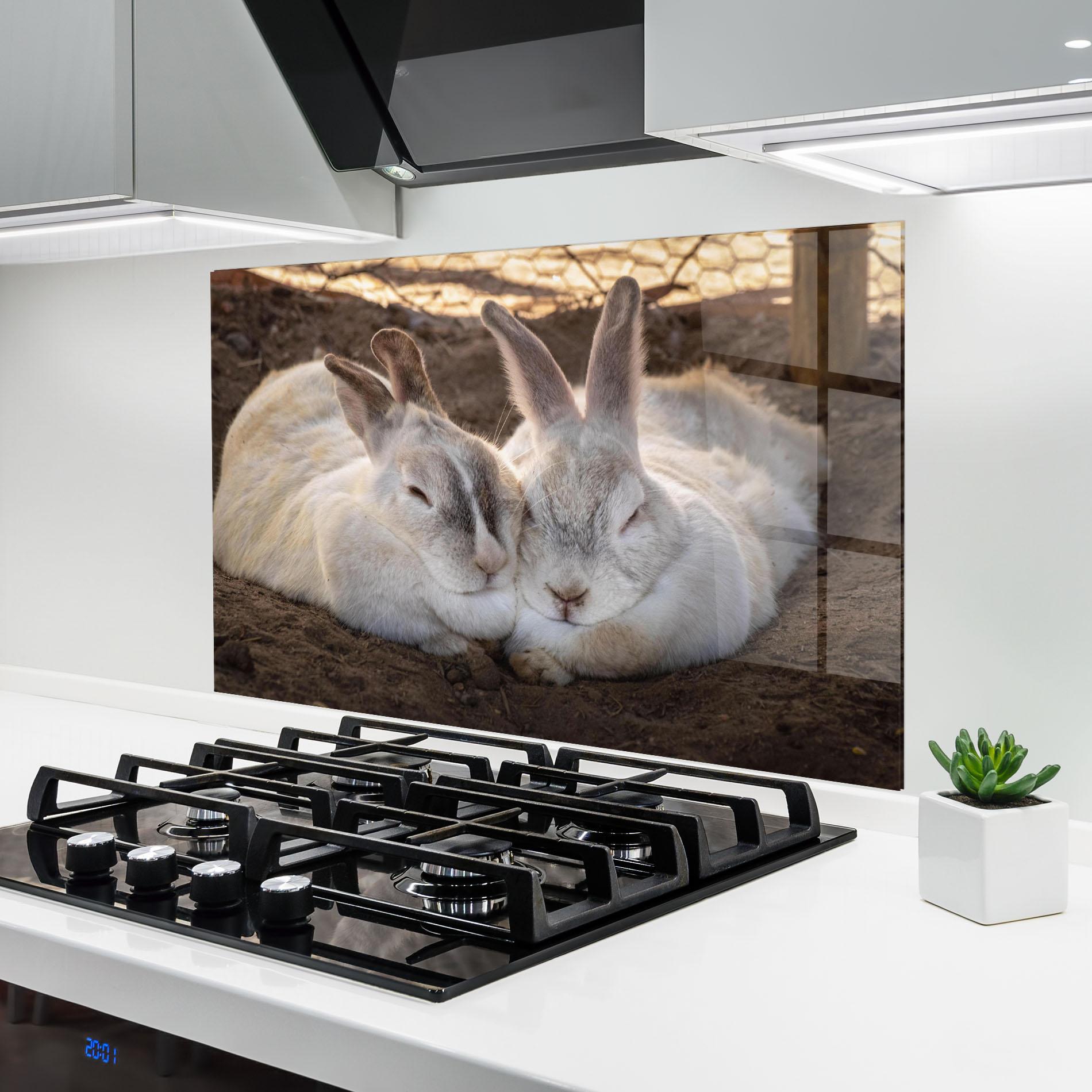 Konyhai üveg hátfal Light Grey Bunny Sleeping mockup 6