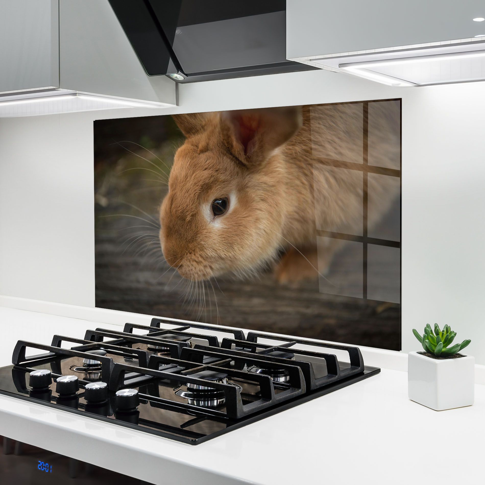 Orange Bunny Looking mockup 6