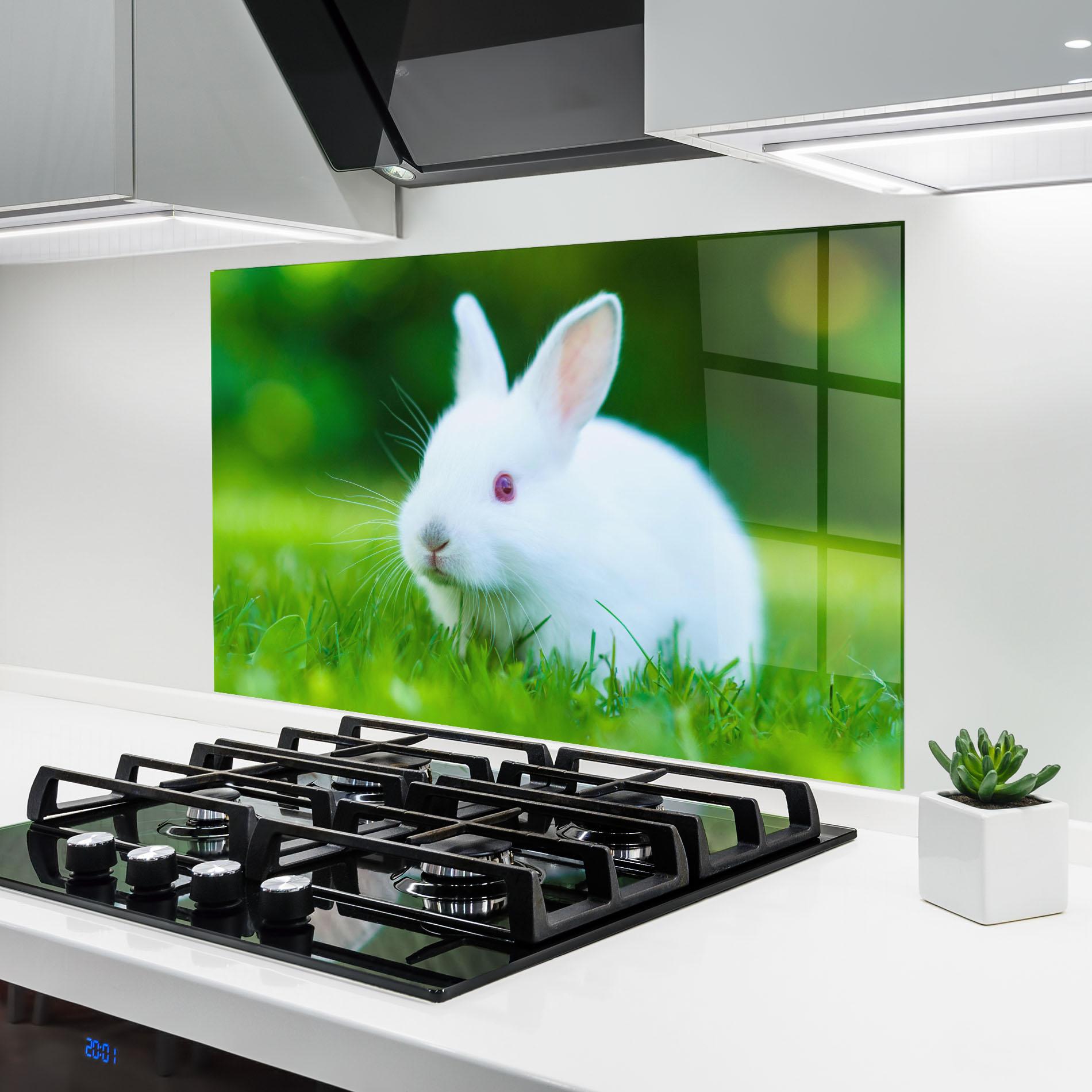 Konyhai üveg hátfal Red Eye Bunny mockup 6