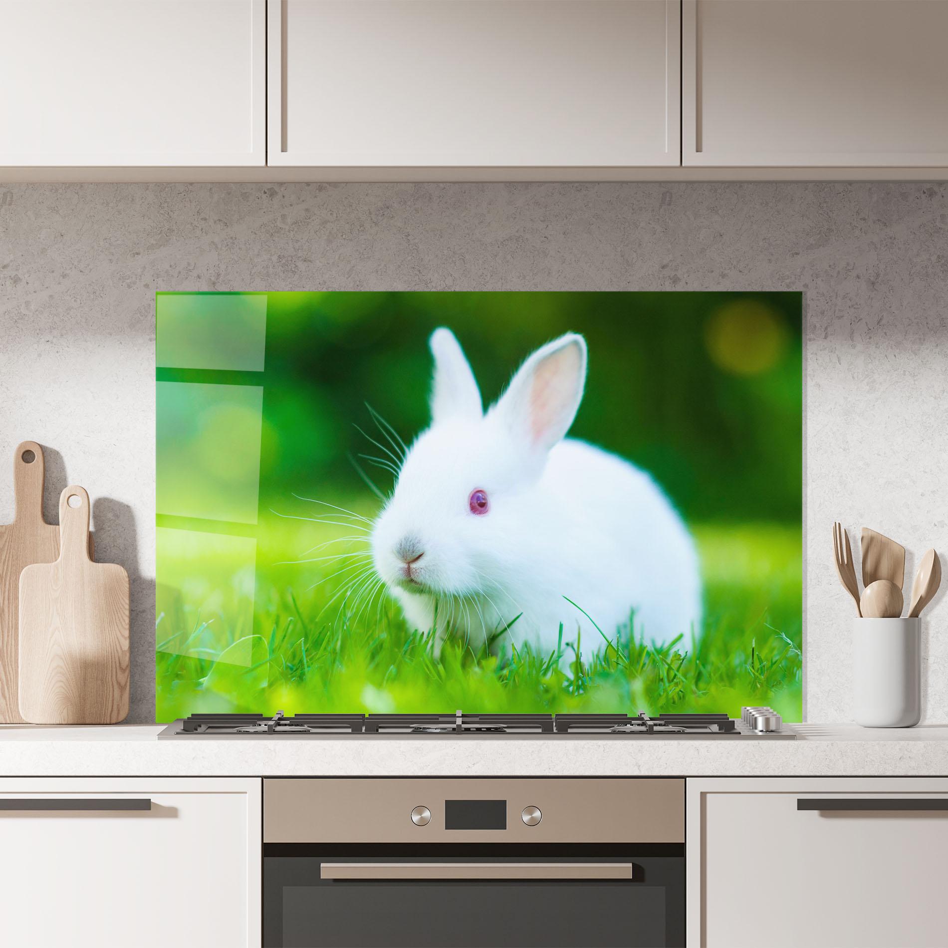Konyhai üveg hátfal Red Eye Bunny mockup 7