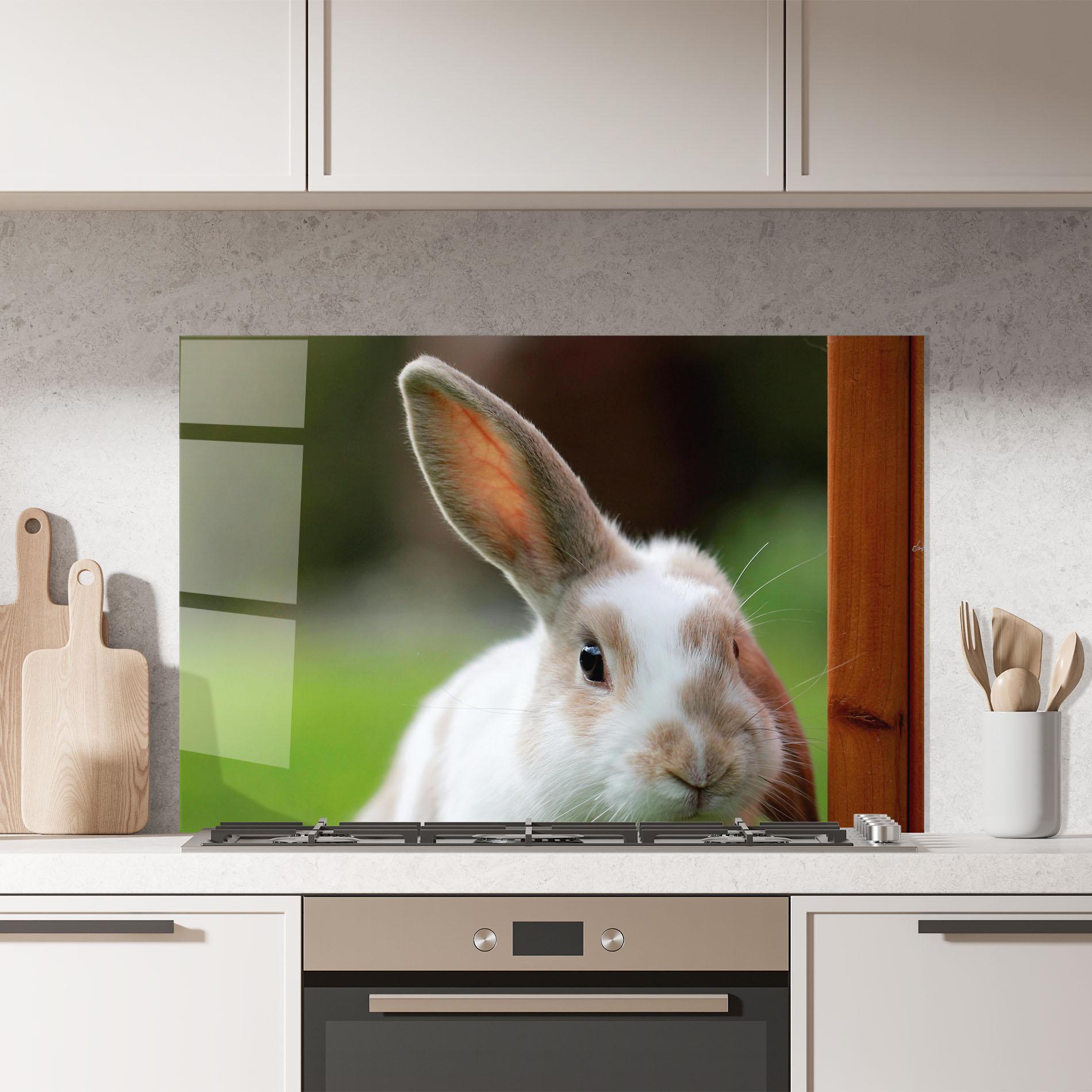 Konyhai üveg hátfal Up Ear Bunny mockup 7
