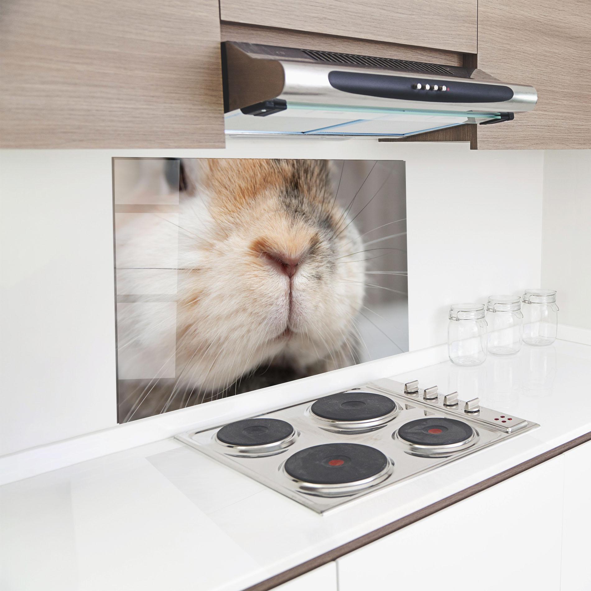 Konyhai üveg hátfal Close Up Bunny mockup 8
