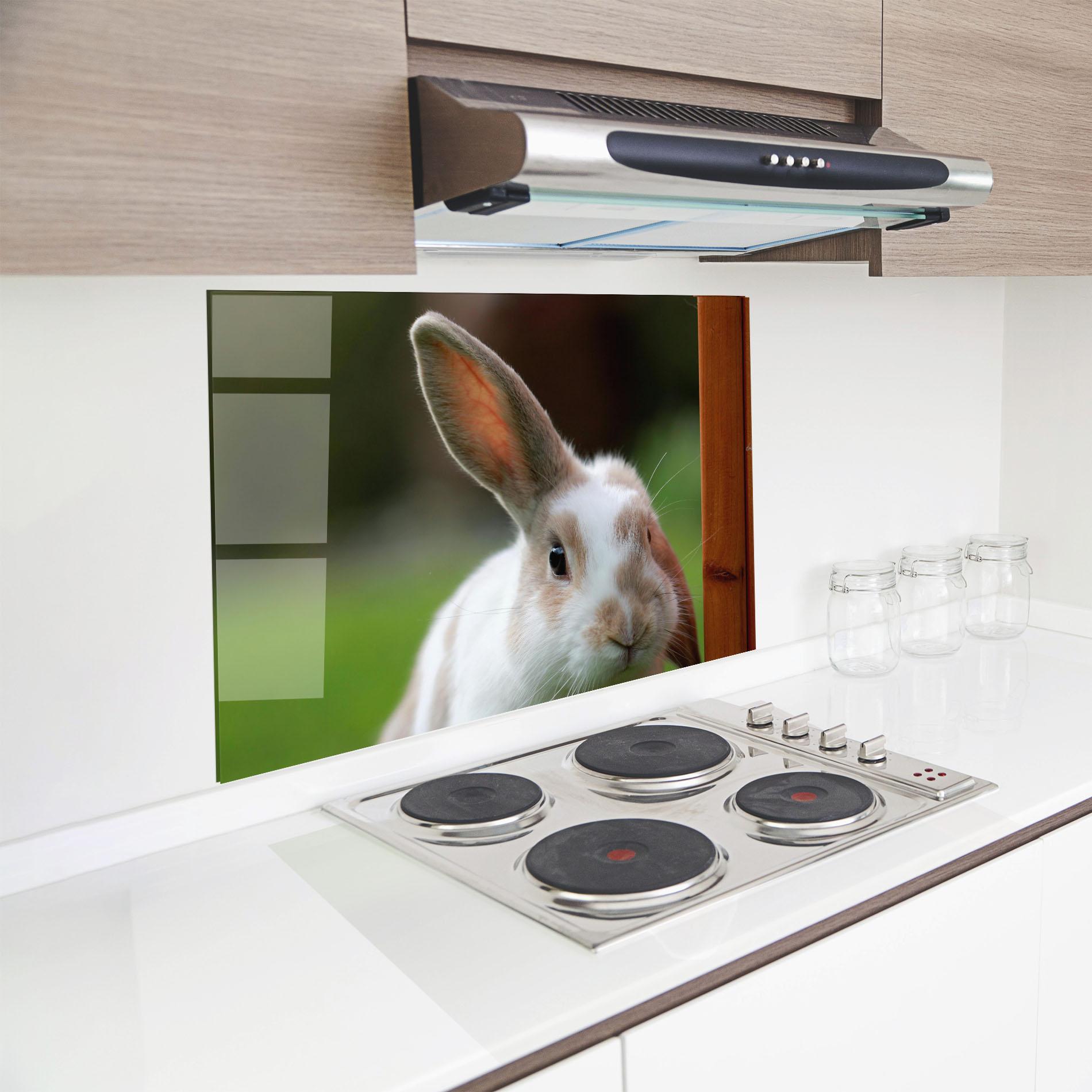 Konyhai üveg hátfal Up Ear Bunny mockup 8