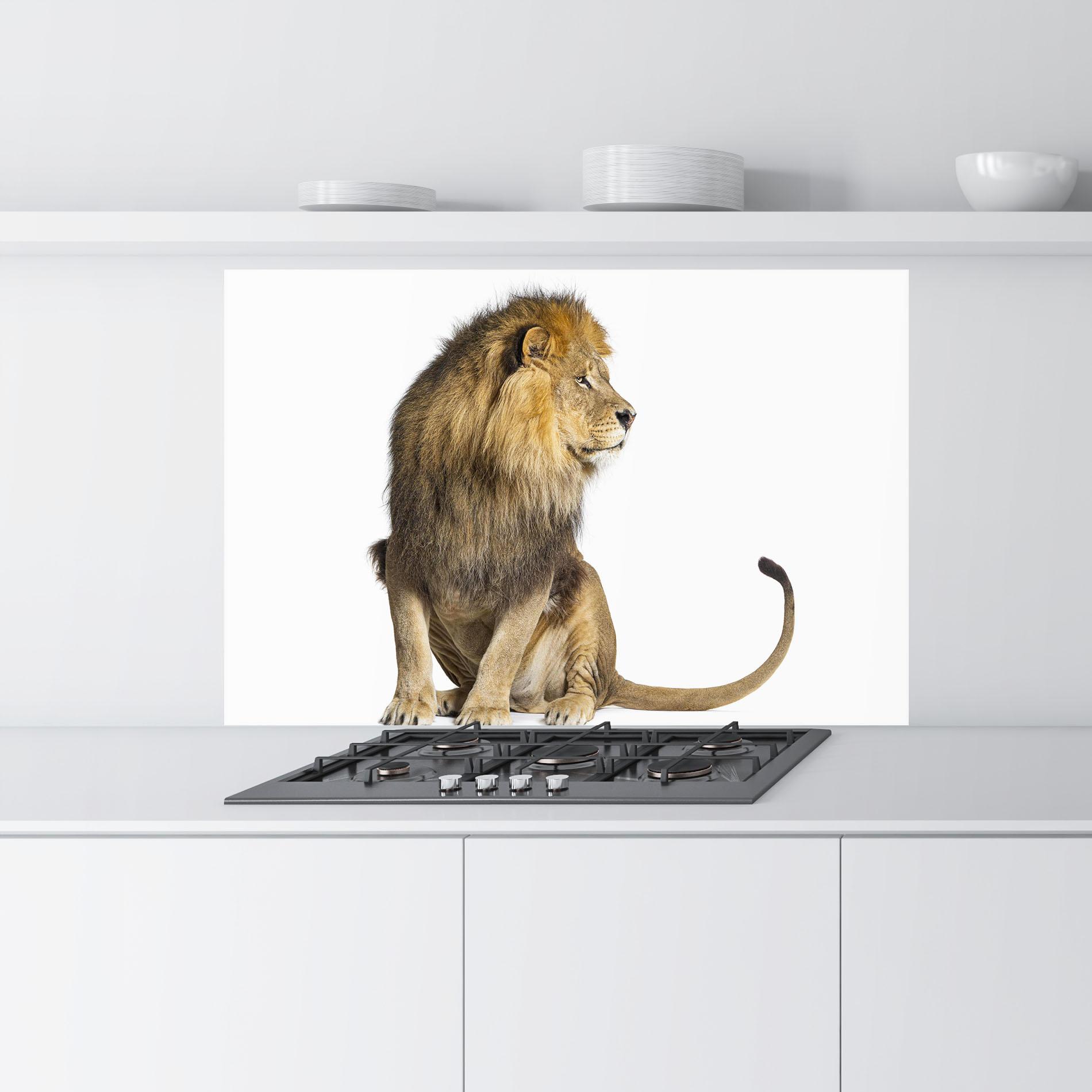 Konyhai üveg hátfal Big Lion mockup 9