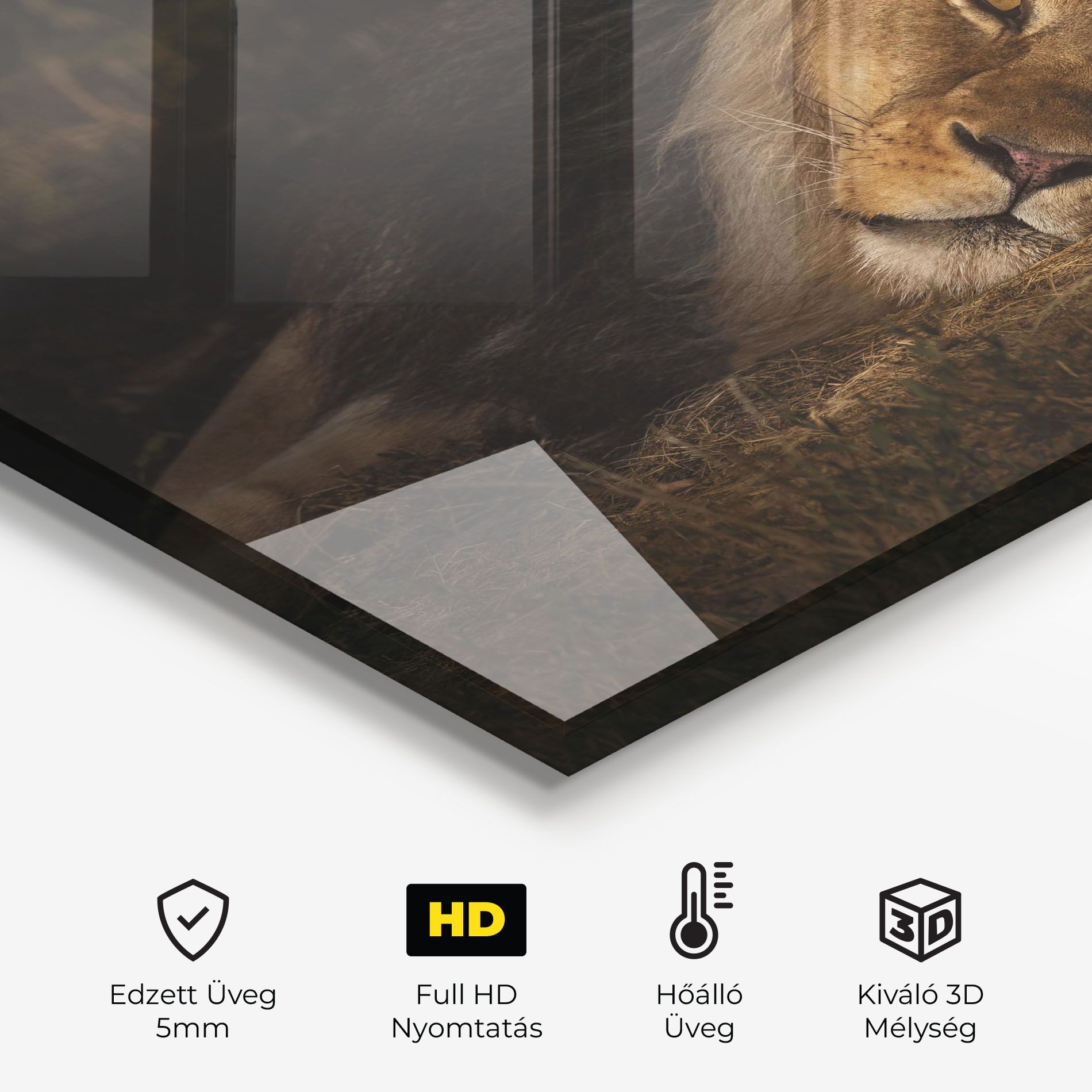 Lion Laying Down mockup 2
