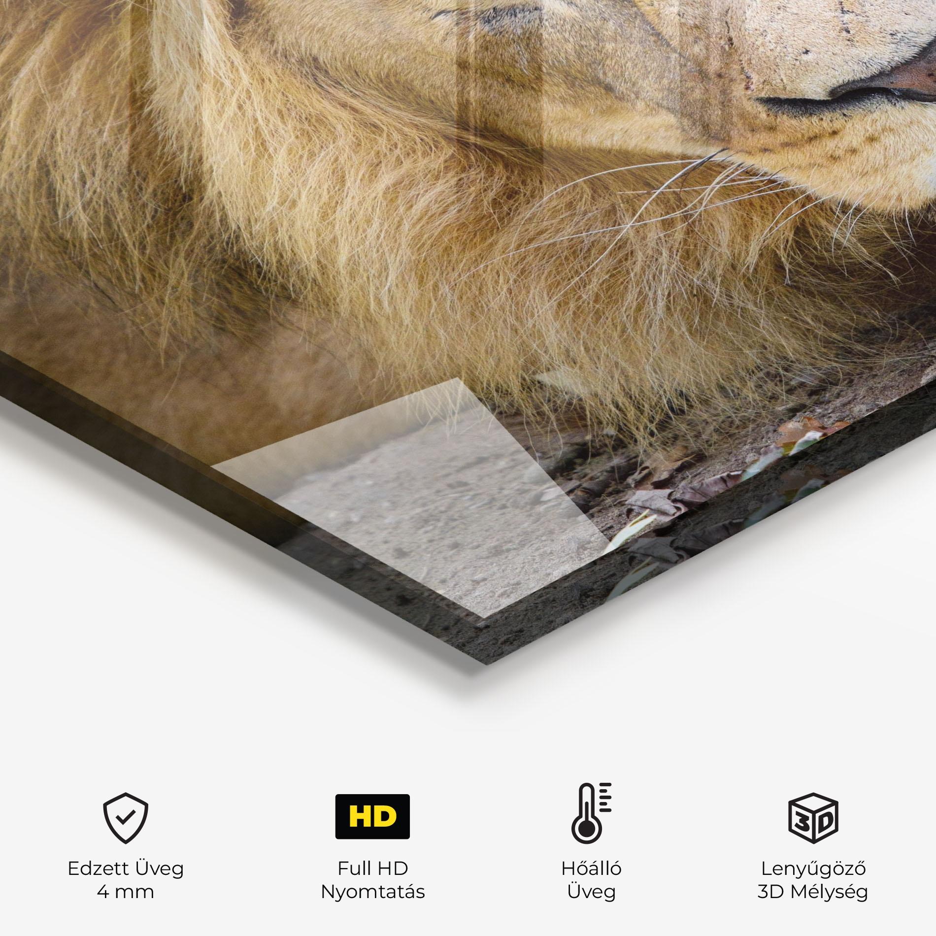 Konyhai üveg hátfal Lion Looking mockup 2