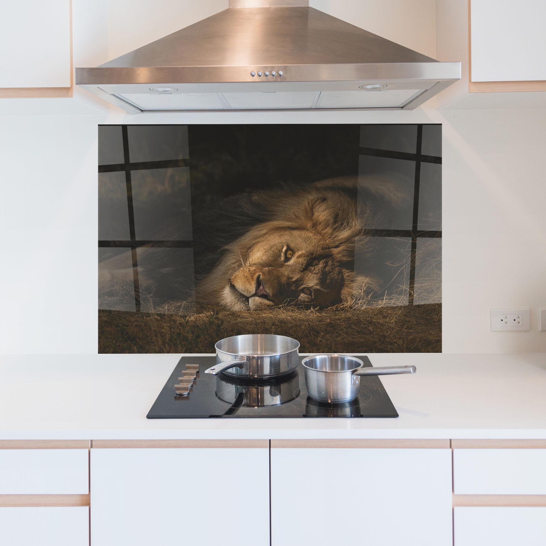 Konyhai üveg hátfal Lion Laying Down mockup 5