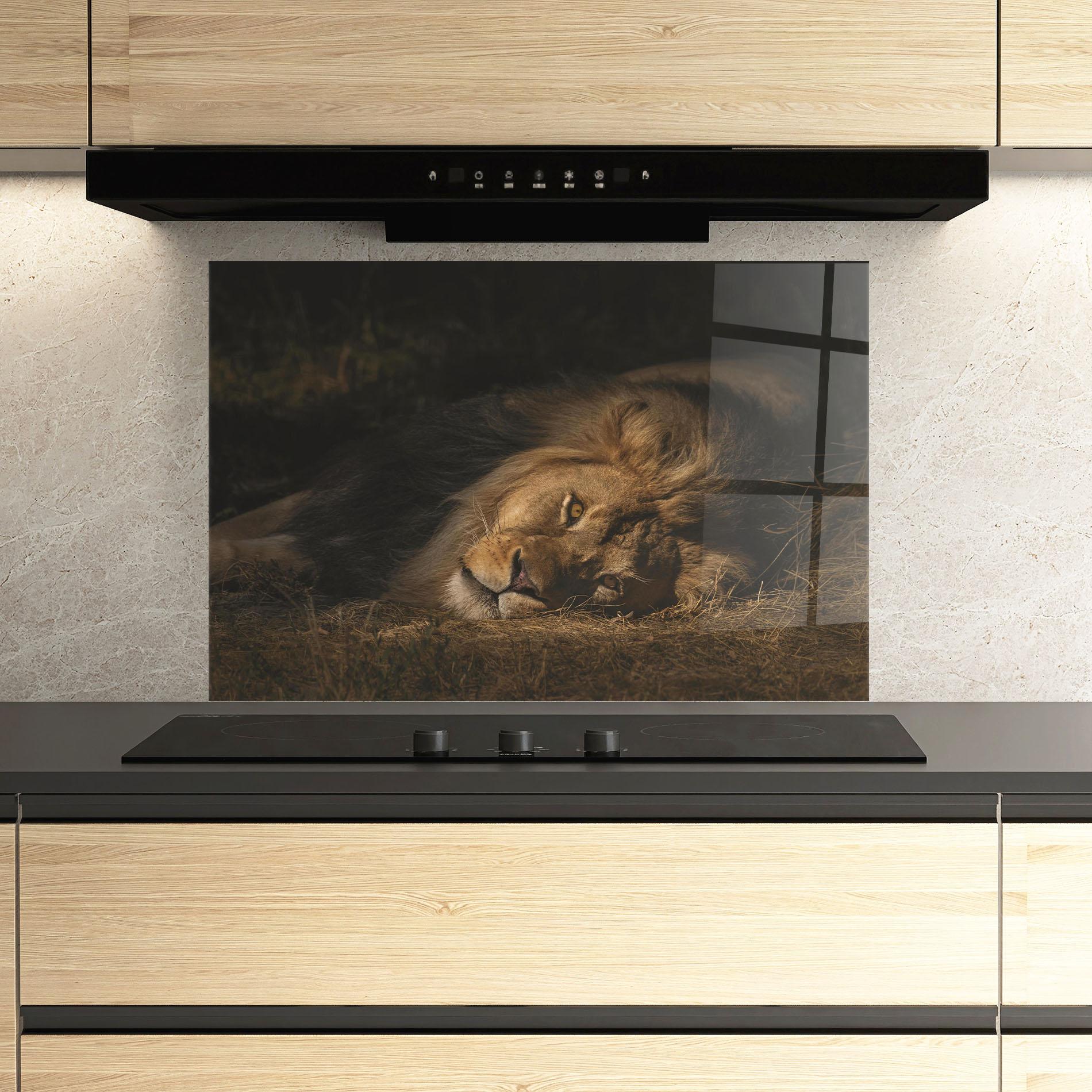 Konyhai üveg hátfal Lion Laying Down mockup 3