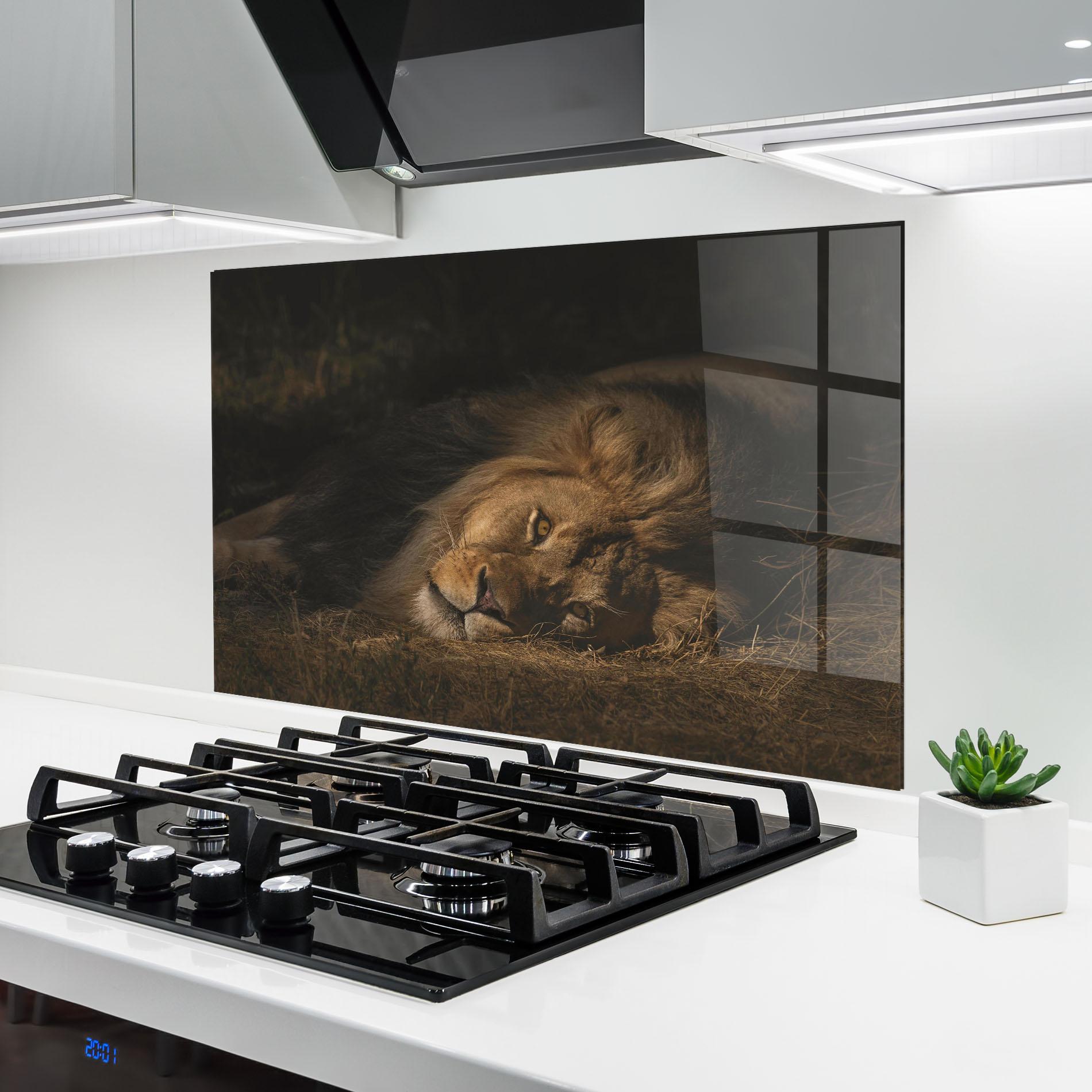 Konyhai üveg hátfal Lion Laying Down mockup 6