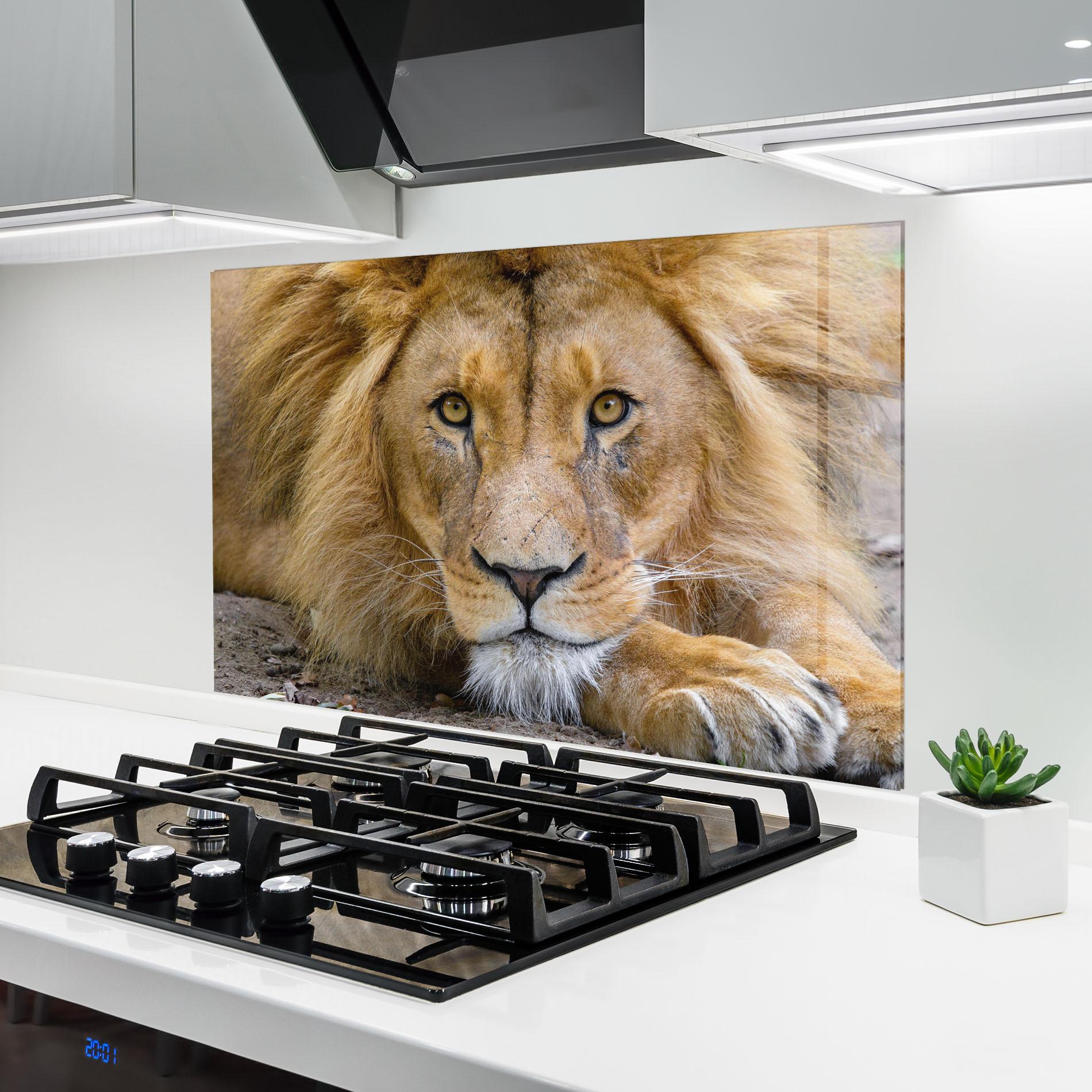 Konyhai üveg hátfal Lion Looking mockup 6