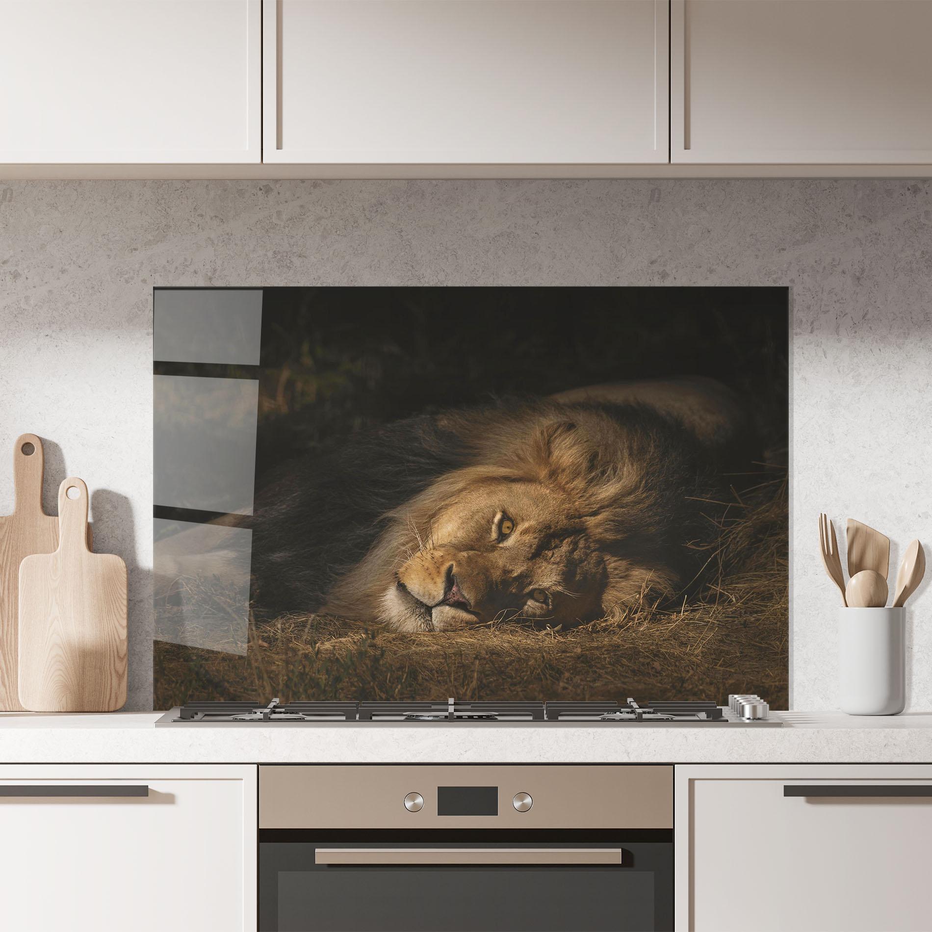 Konyhai üveg hátfal Lion Laying Down mockup 7