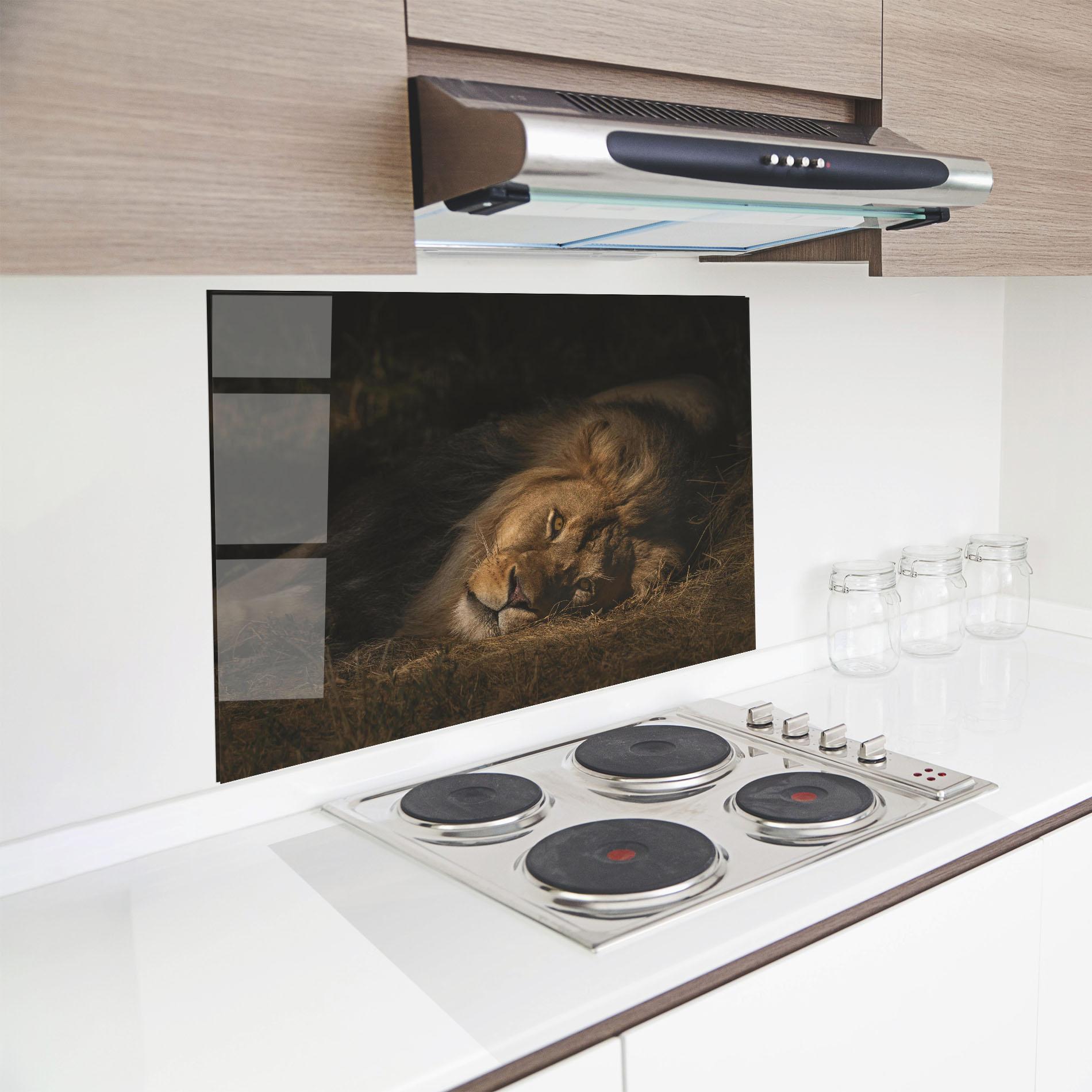 Konyhai üveg hátfal Lion Laying Down mockup 8