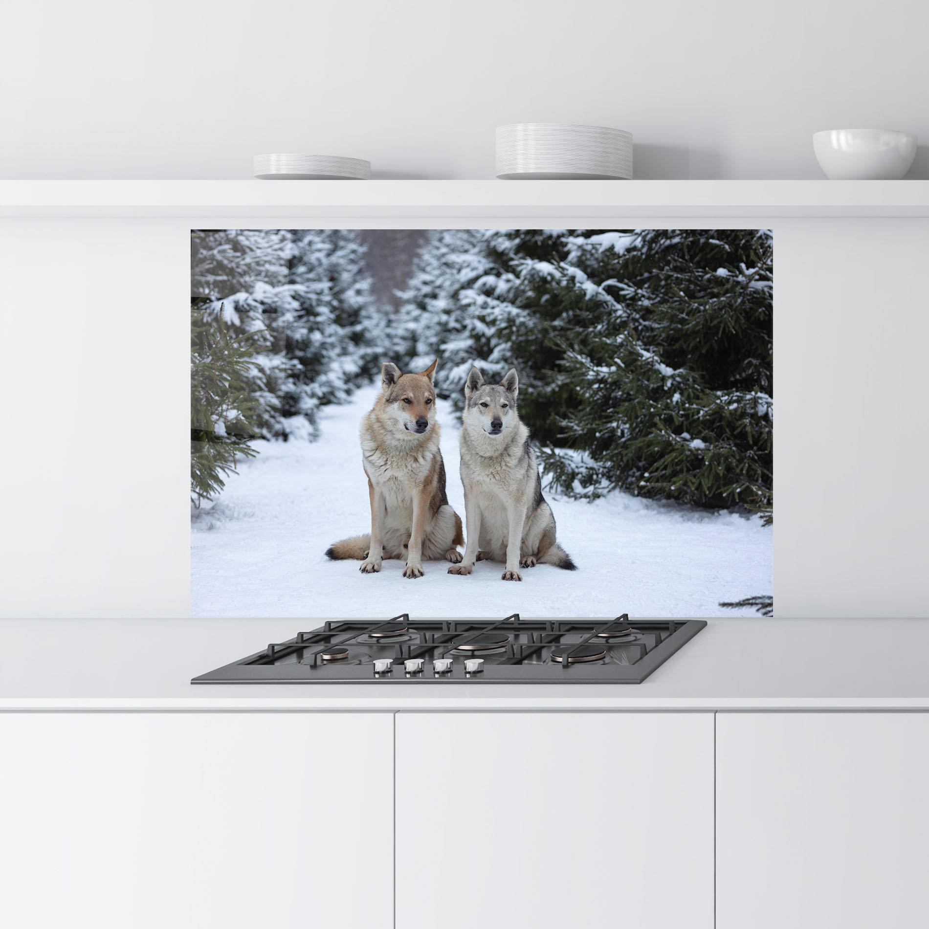 Konyhai üveg hátfal 2 Wolfs Sitting mockup 9