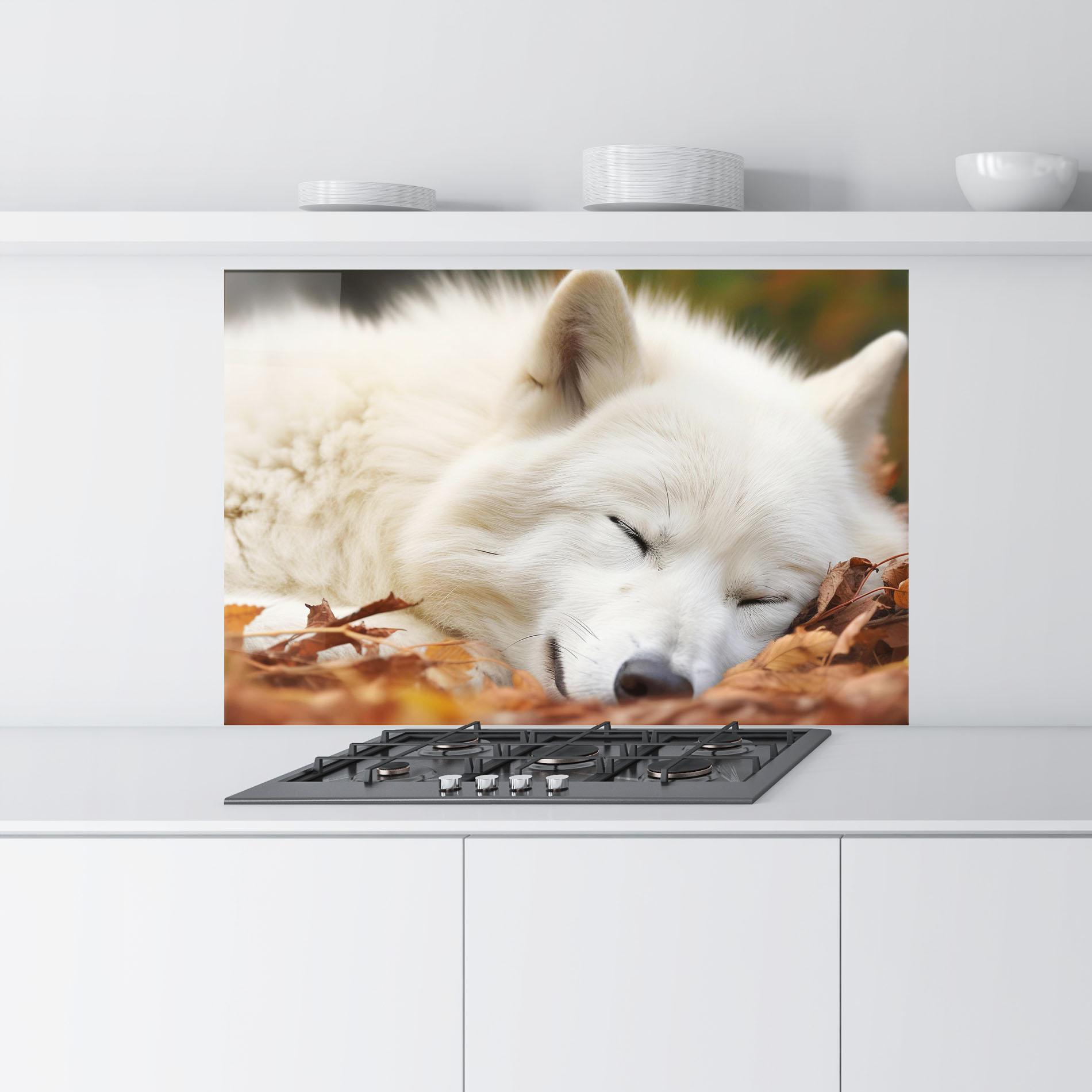 Konyhai üveg hátfal White Wolf Sleeping mockup 9