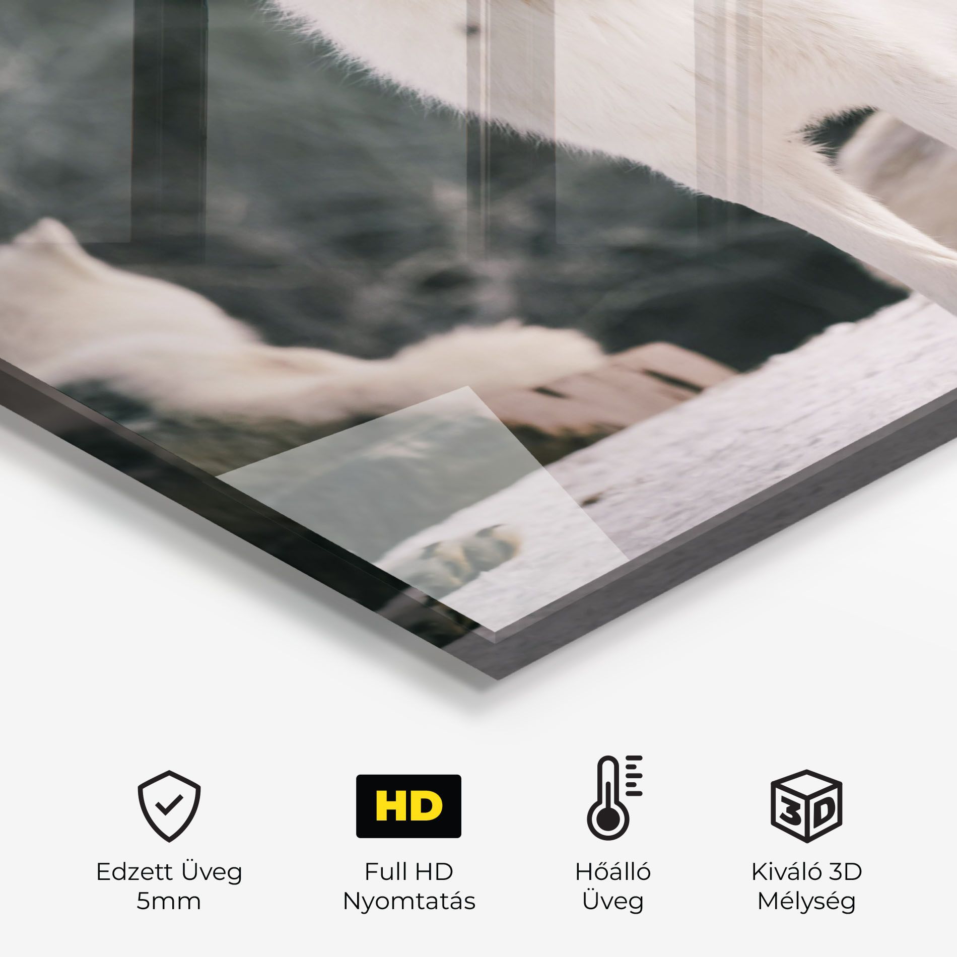 Laughing White Wolf mockup 2