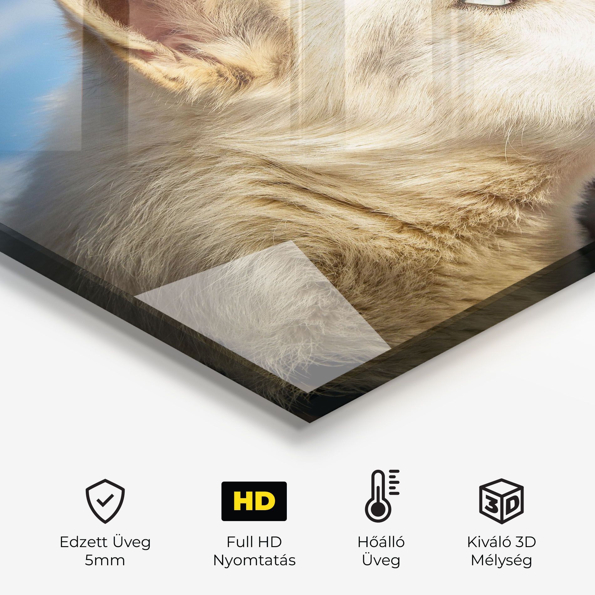 White Wolf Looking mockup 2