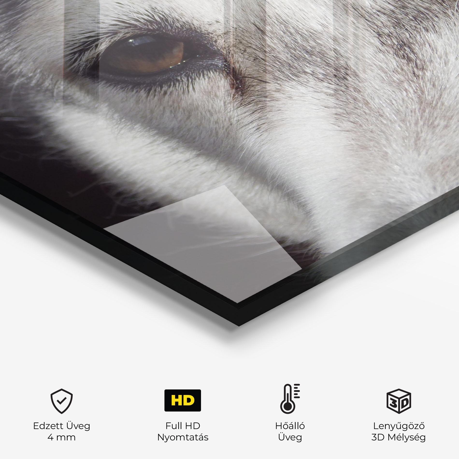 Konyhai üveg hátfal Close Up Wolf mockup 2