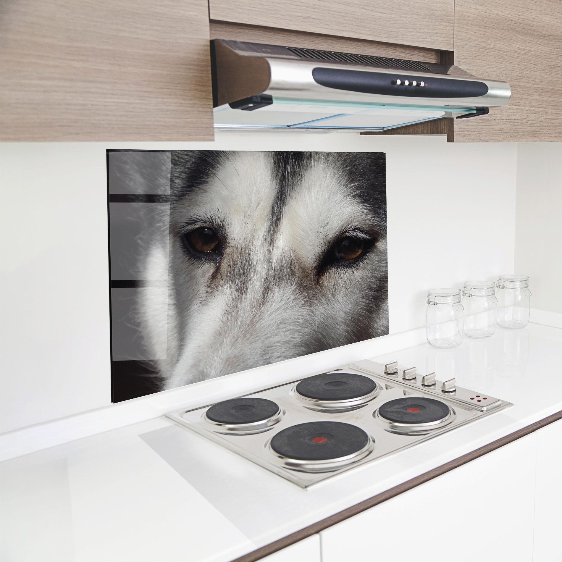 Konyhai üveg hátfal Close Up Wolf mockup 8