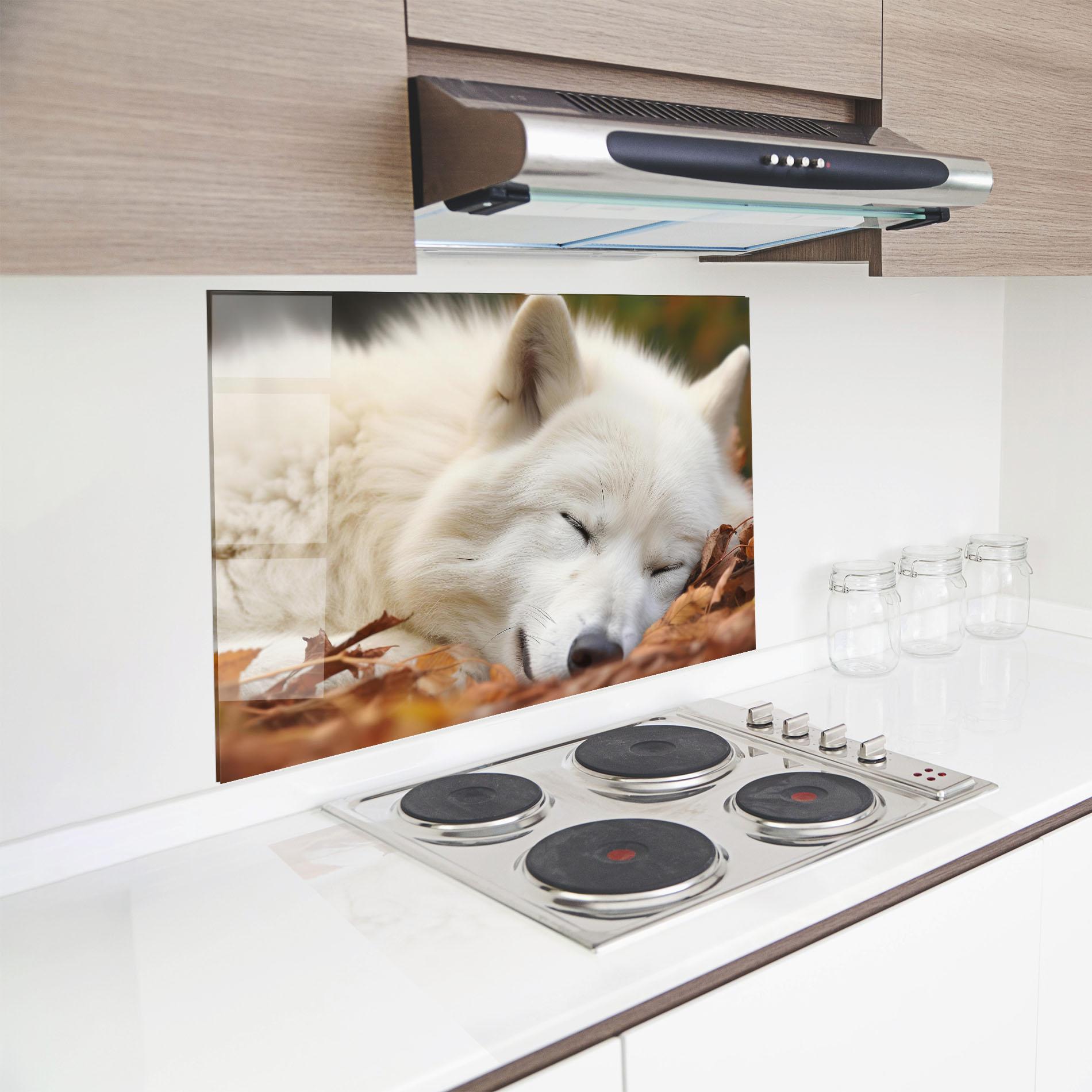 Konyhai üveg hátfal White Wolf Sleeping mockup 8