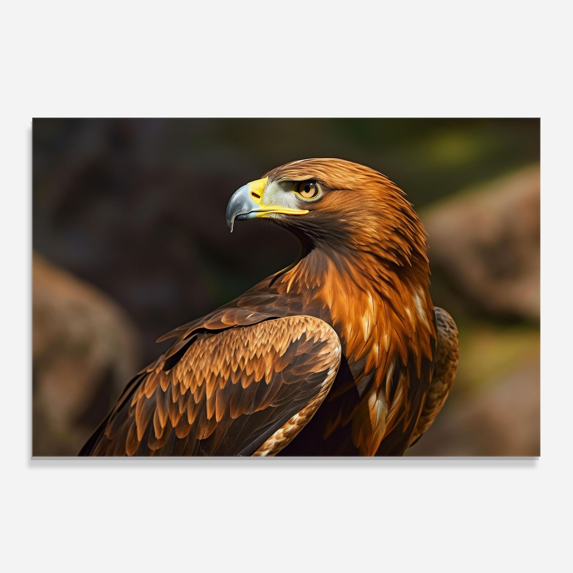 Brown Eagle mockup 0