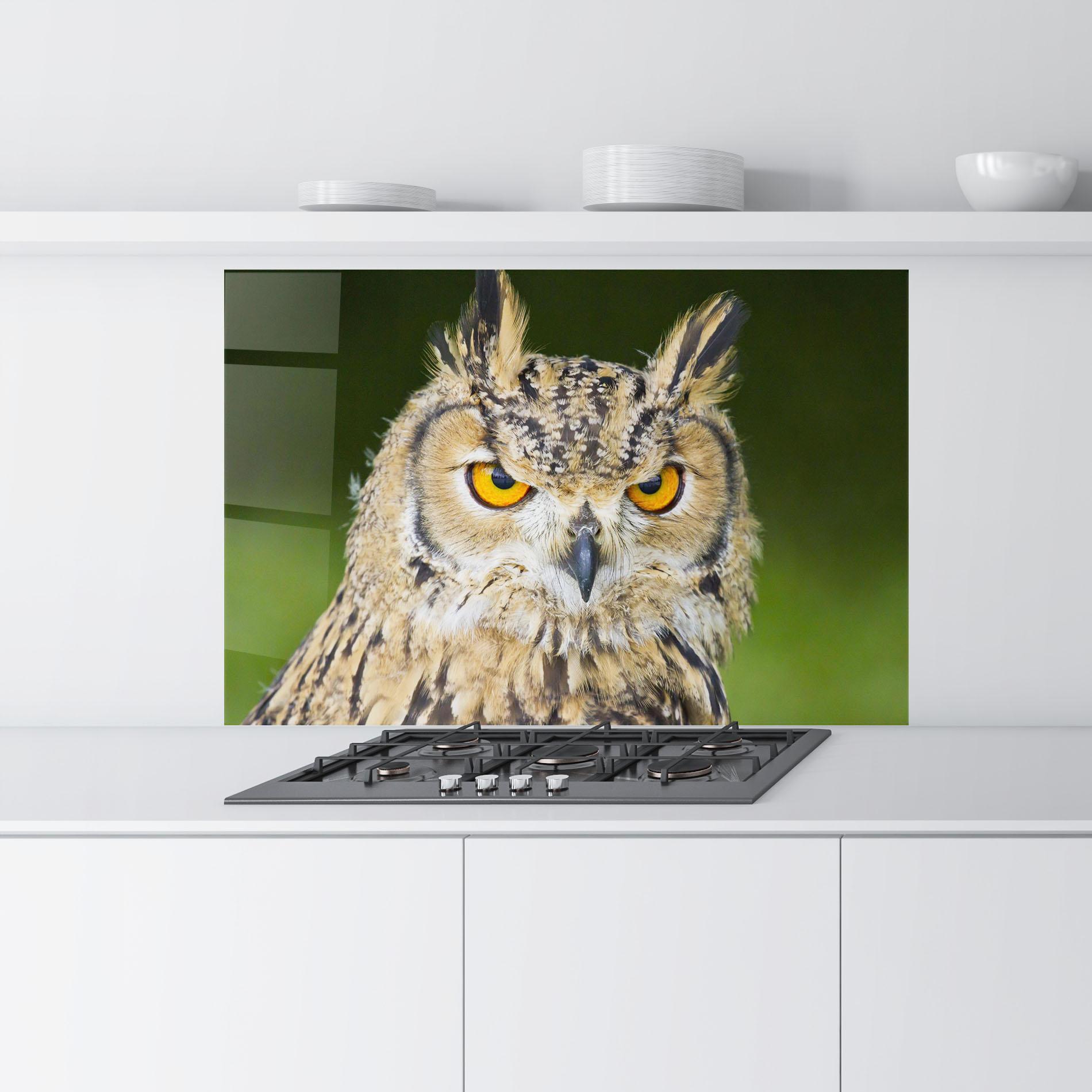 Konyhai üveg hátfal Angry Owl mockup 9