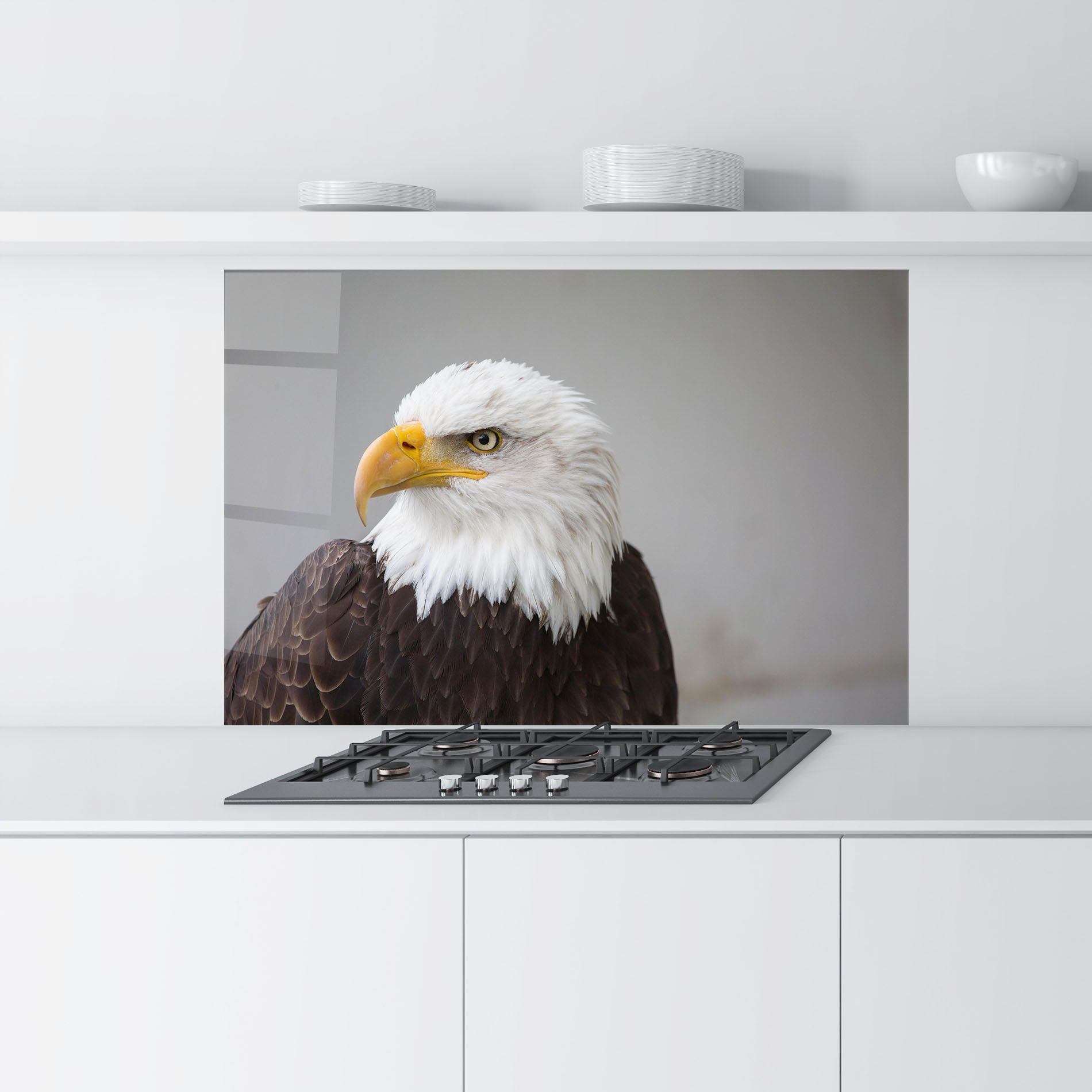 Beautiful Eagle mockup 9