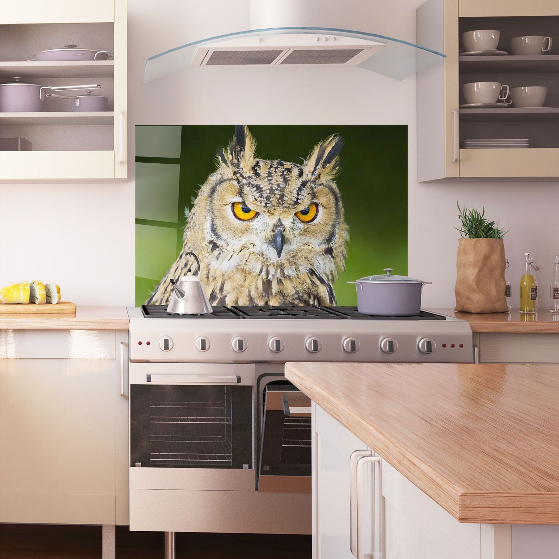 Angry Owl mockup 1