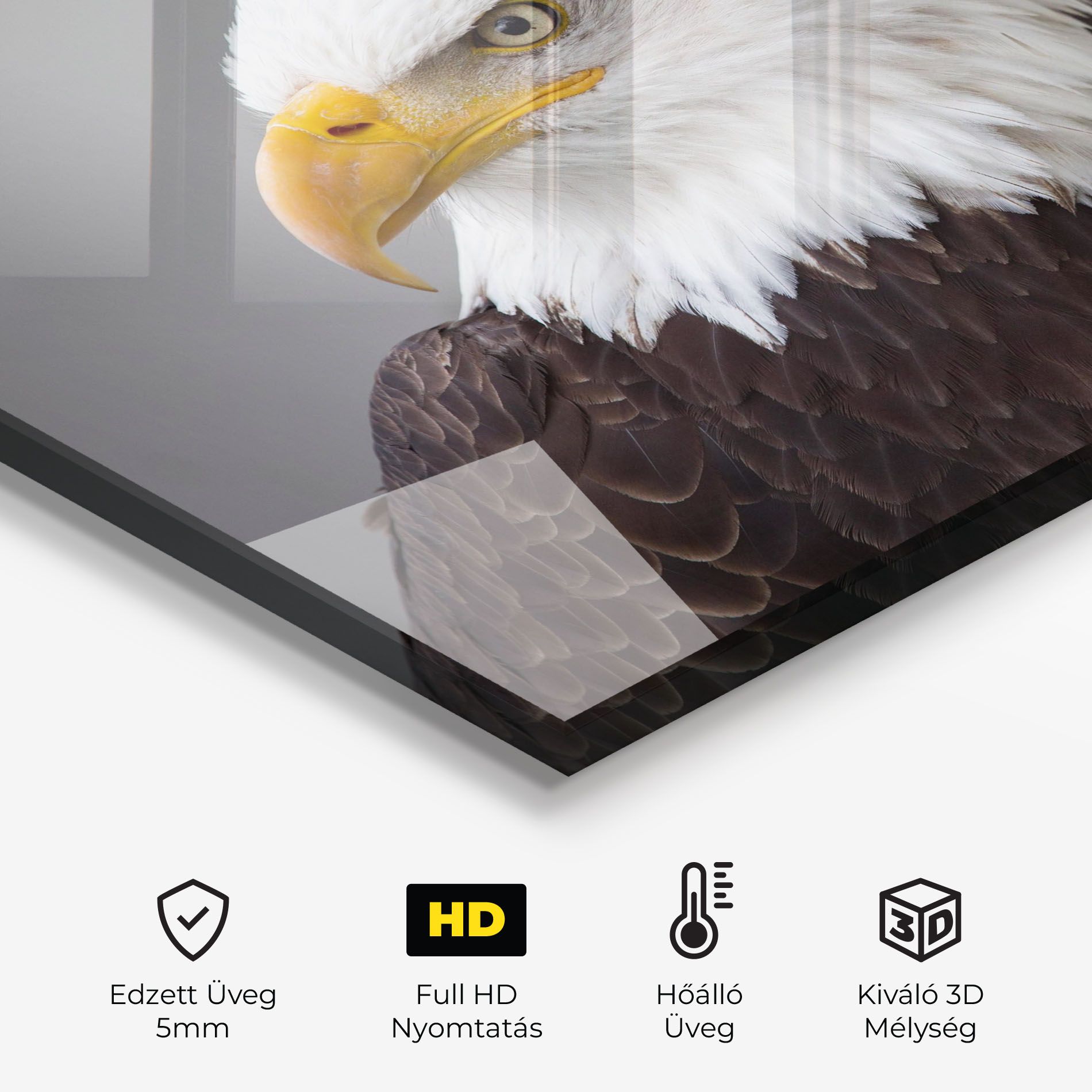 Beautiful Eagle mockup 2