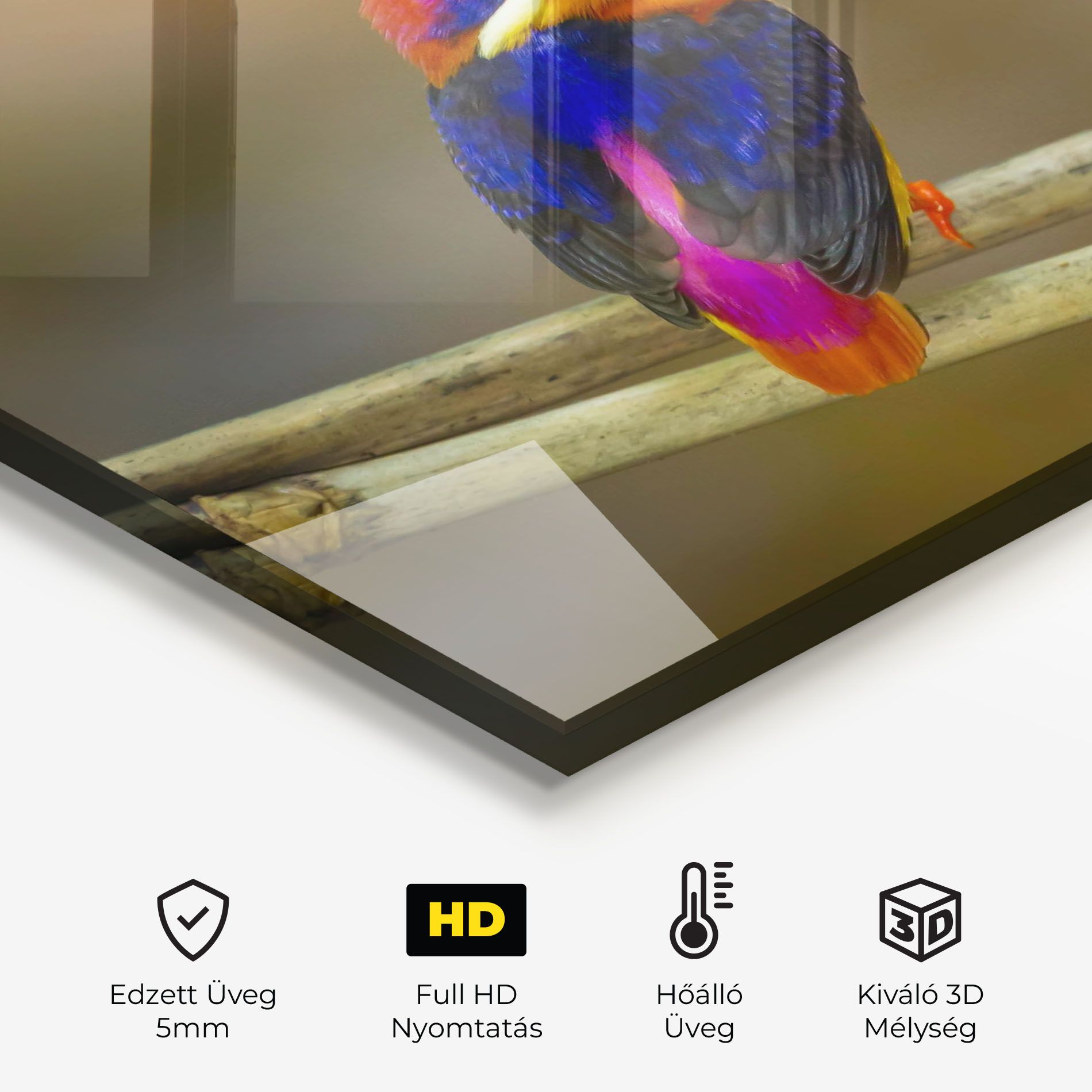 Colorful Bird mockup 2