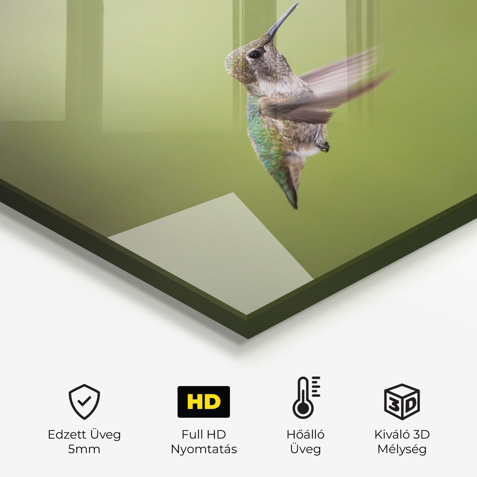 Cute Hummingbird mockup 2