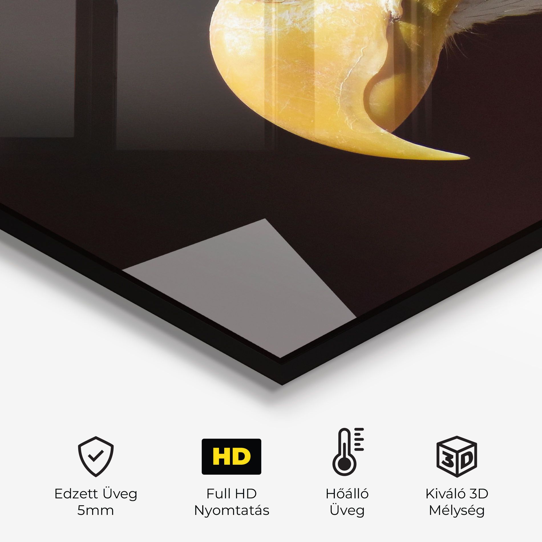 Eagle Close Up mockup 2