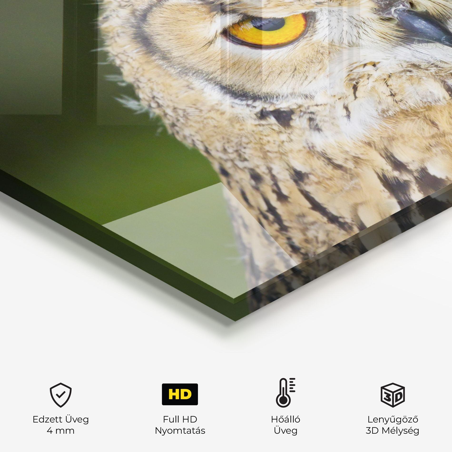 Konyhai üveg hátfal Angry Owl mockup 2