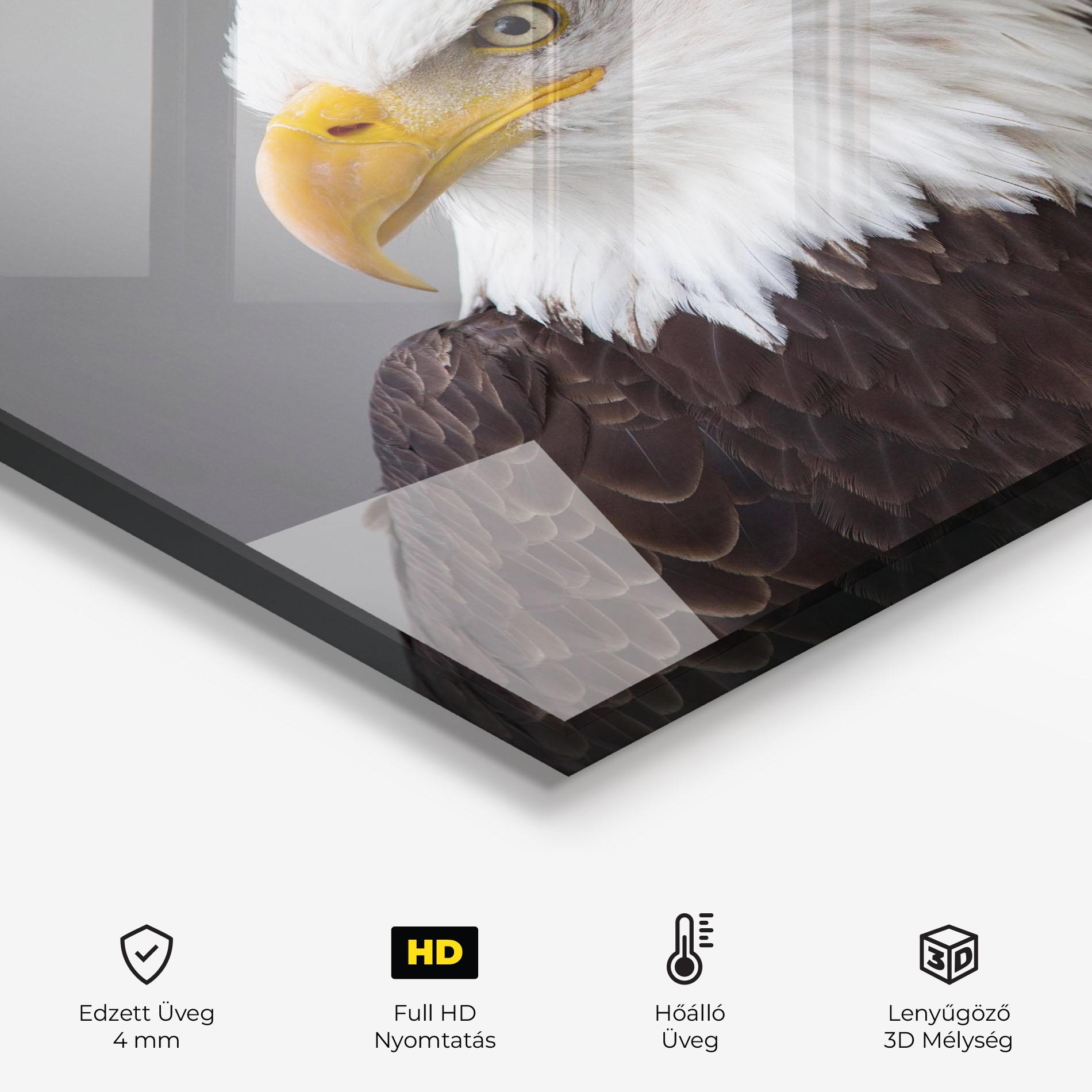 Konyhai üveg hátfal Beautiful Eagle mockup 2