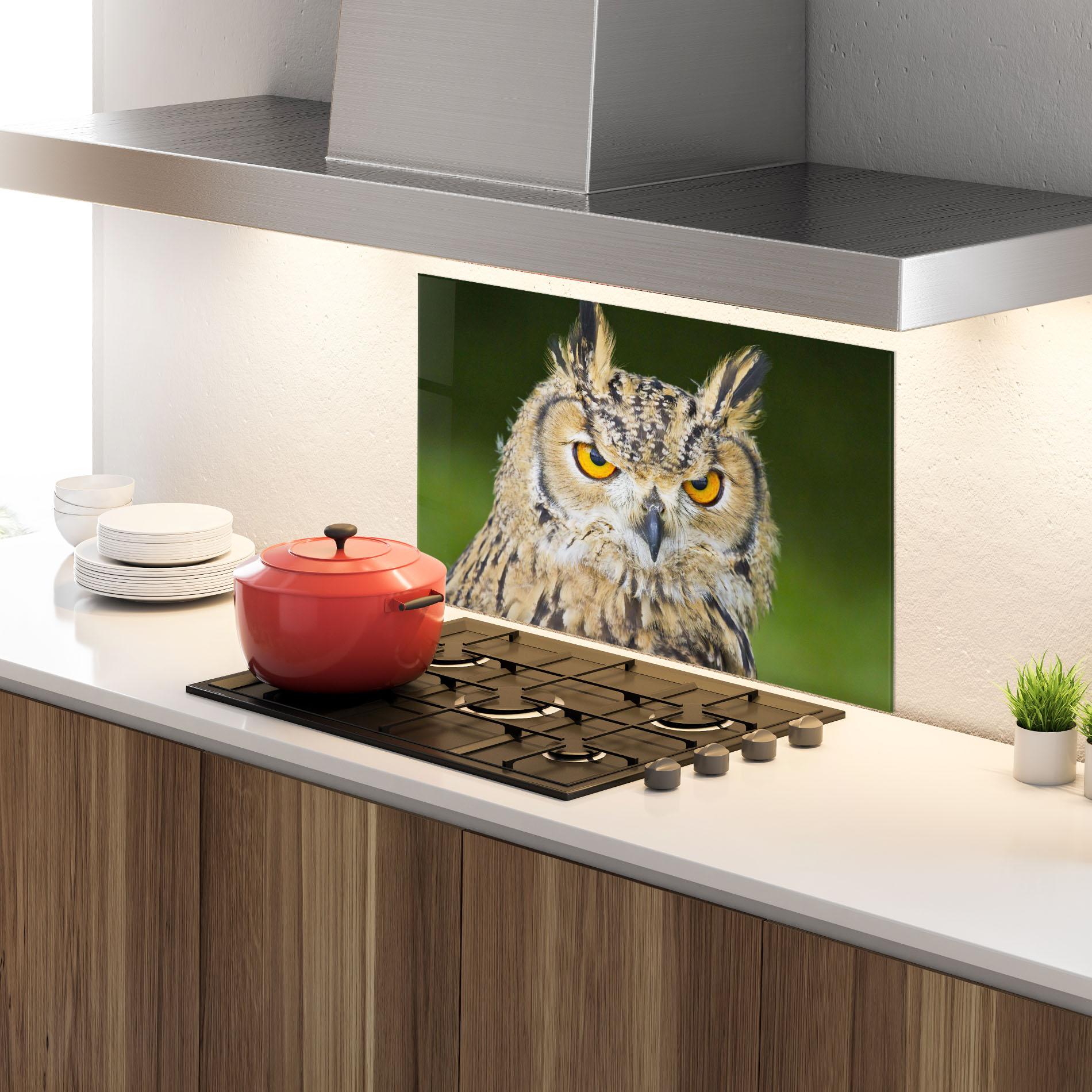 Konyhai üveg hátfal Angry Owl mockup 4