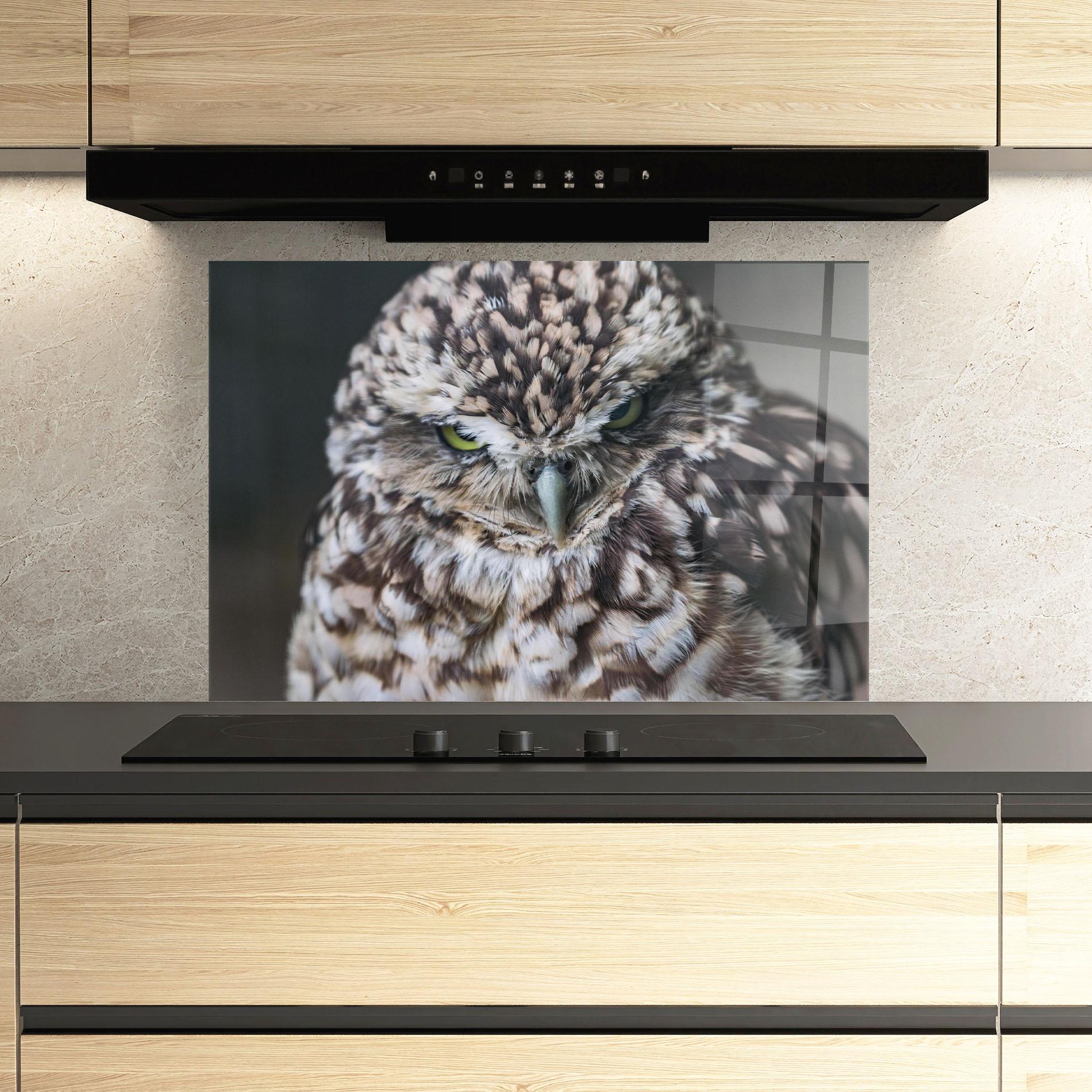 Konyhai üveg hátfal Angry Little Owl mockup 3