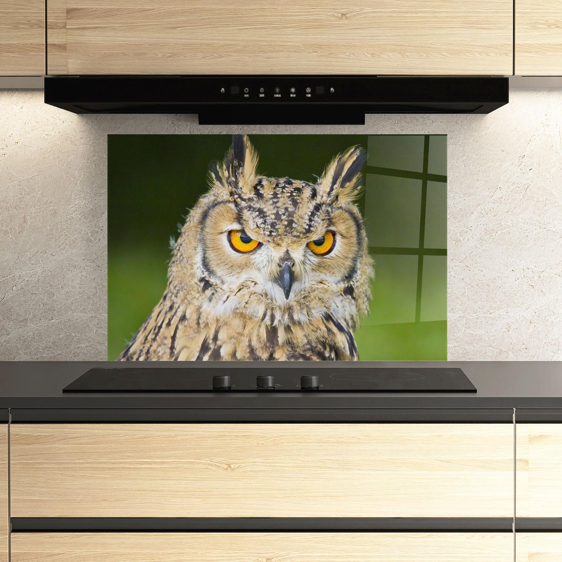 Konyhai üveg hátfal Angry Owl mockup 3