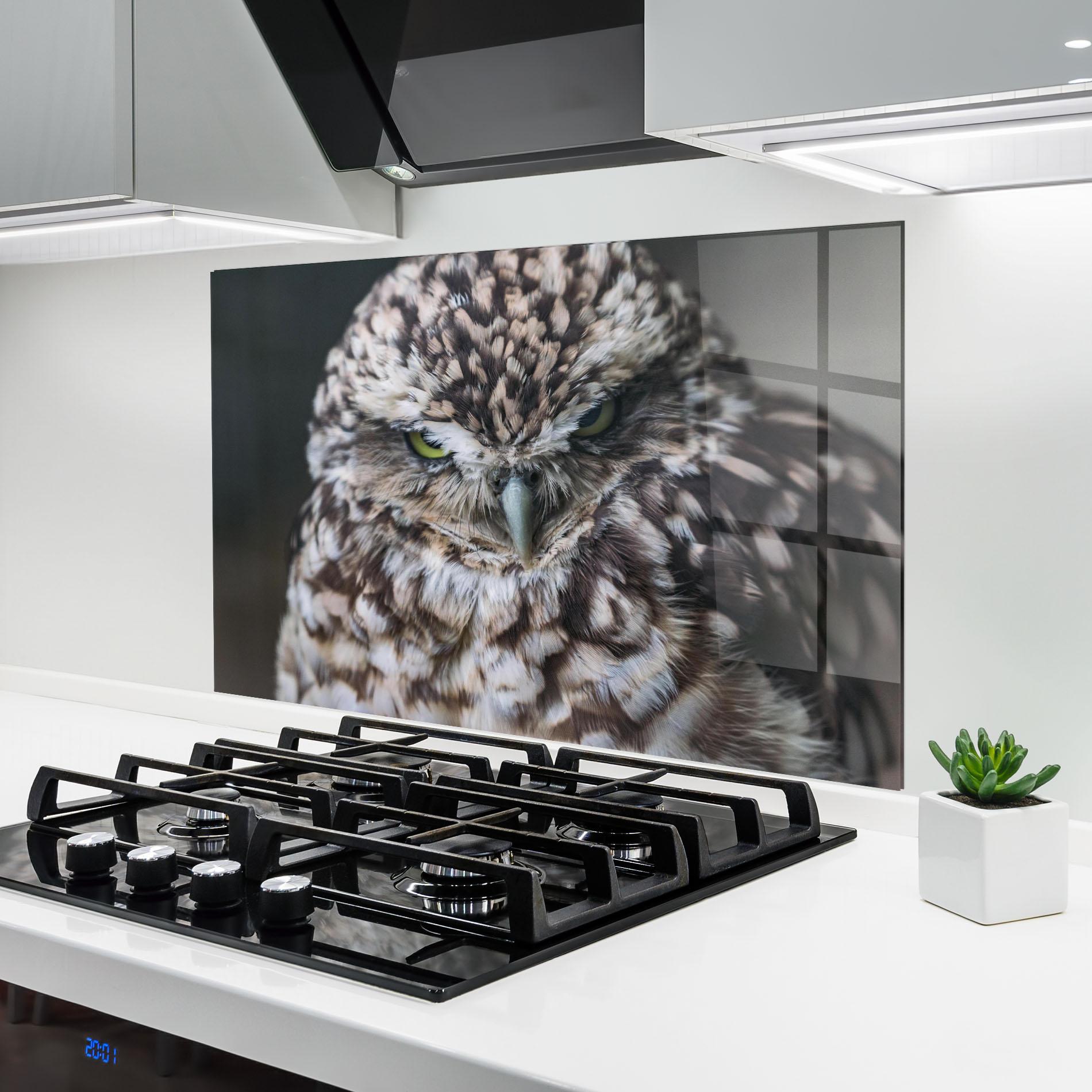 Konyhai üveg hátfal Angry Little Owl mockup 6