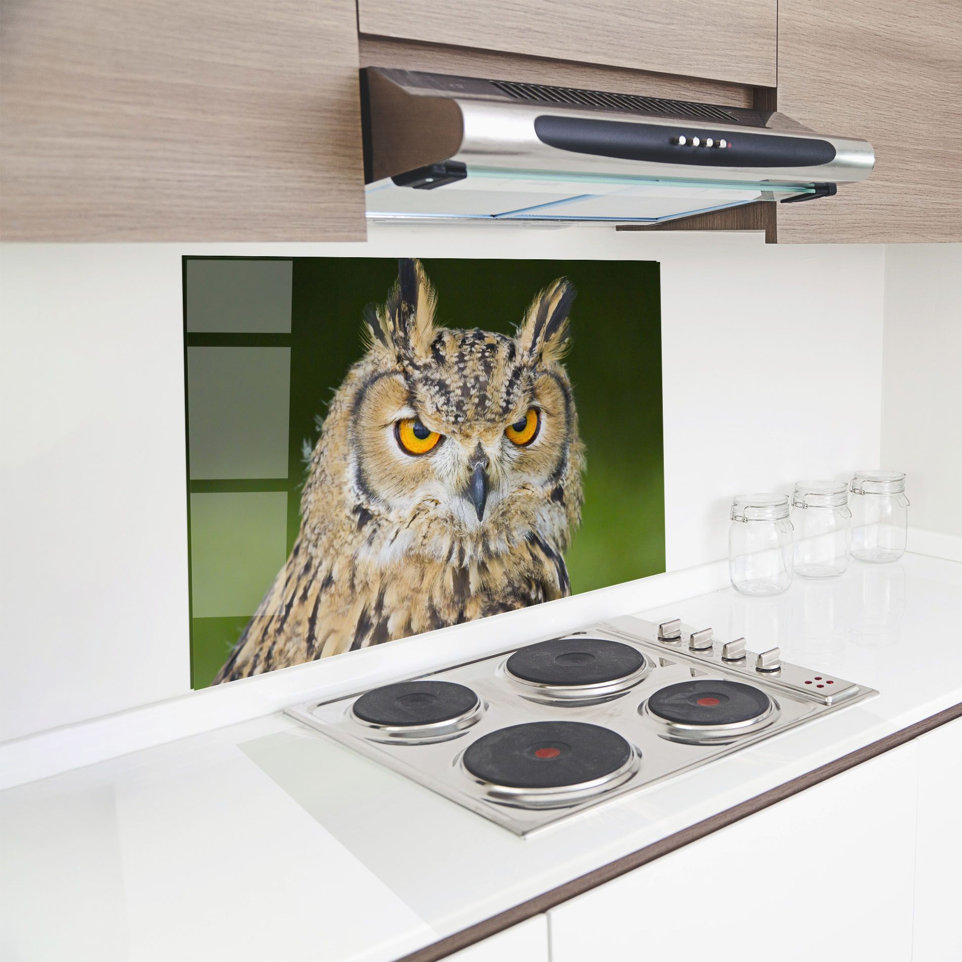 Angry Owl mockup 8