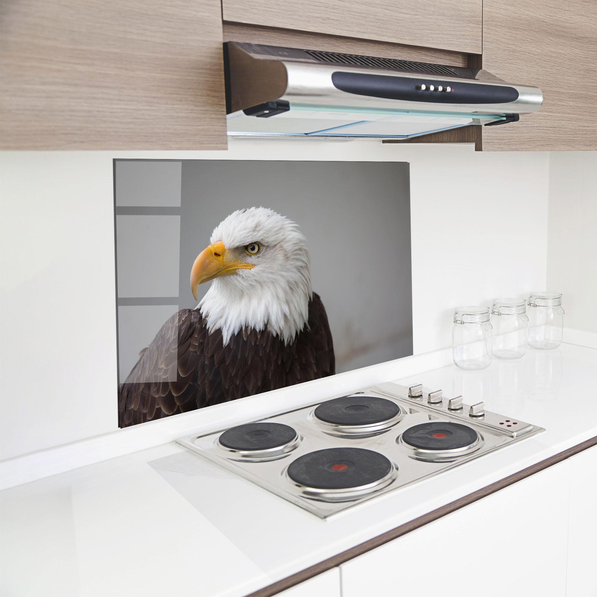 Konyhai üveg hátfal Beautiful Eagle mockup 8